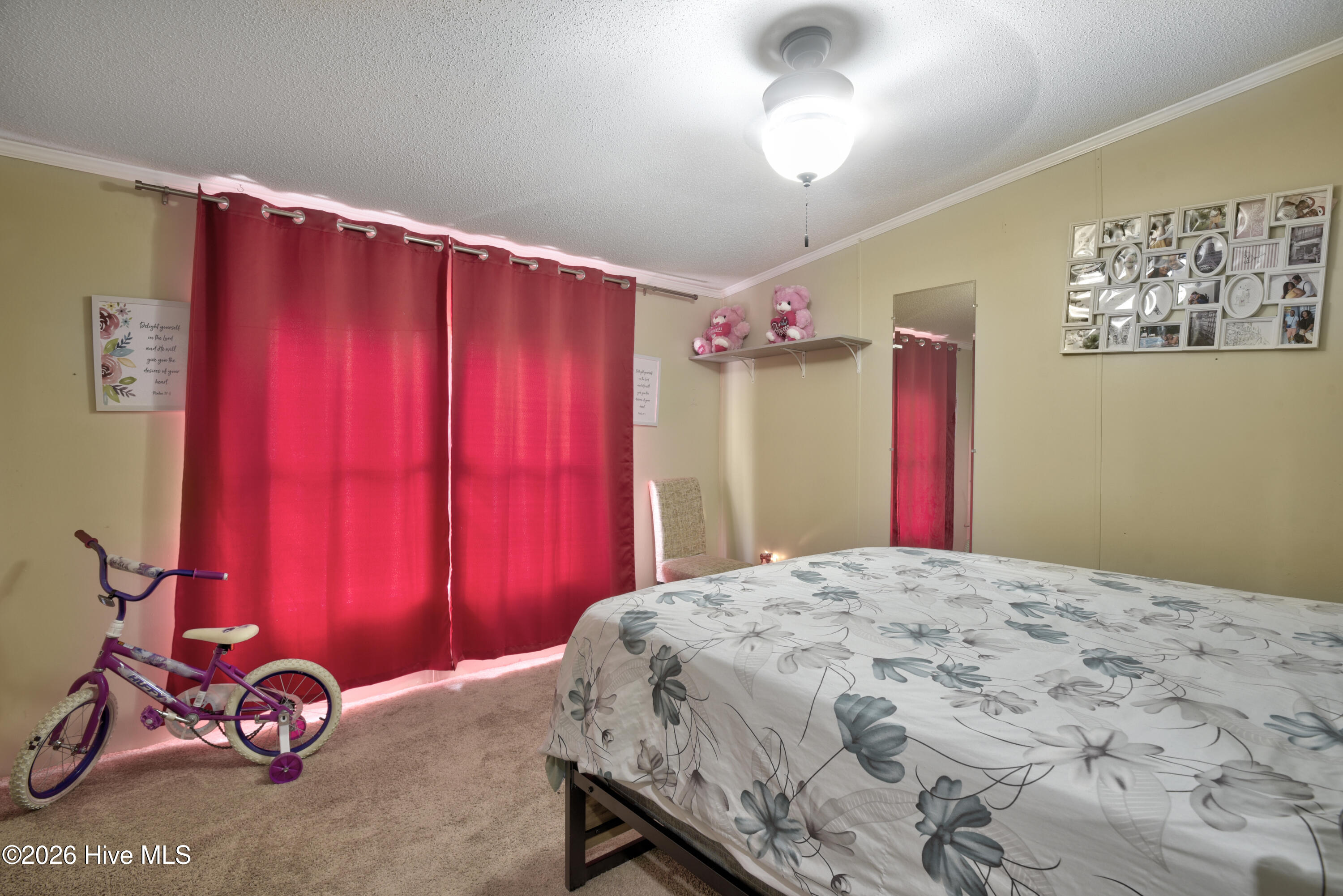 100566927 | Photo 23