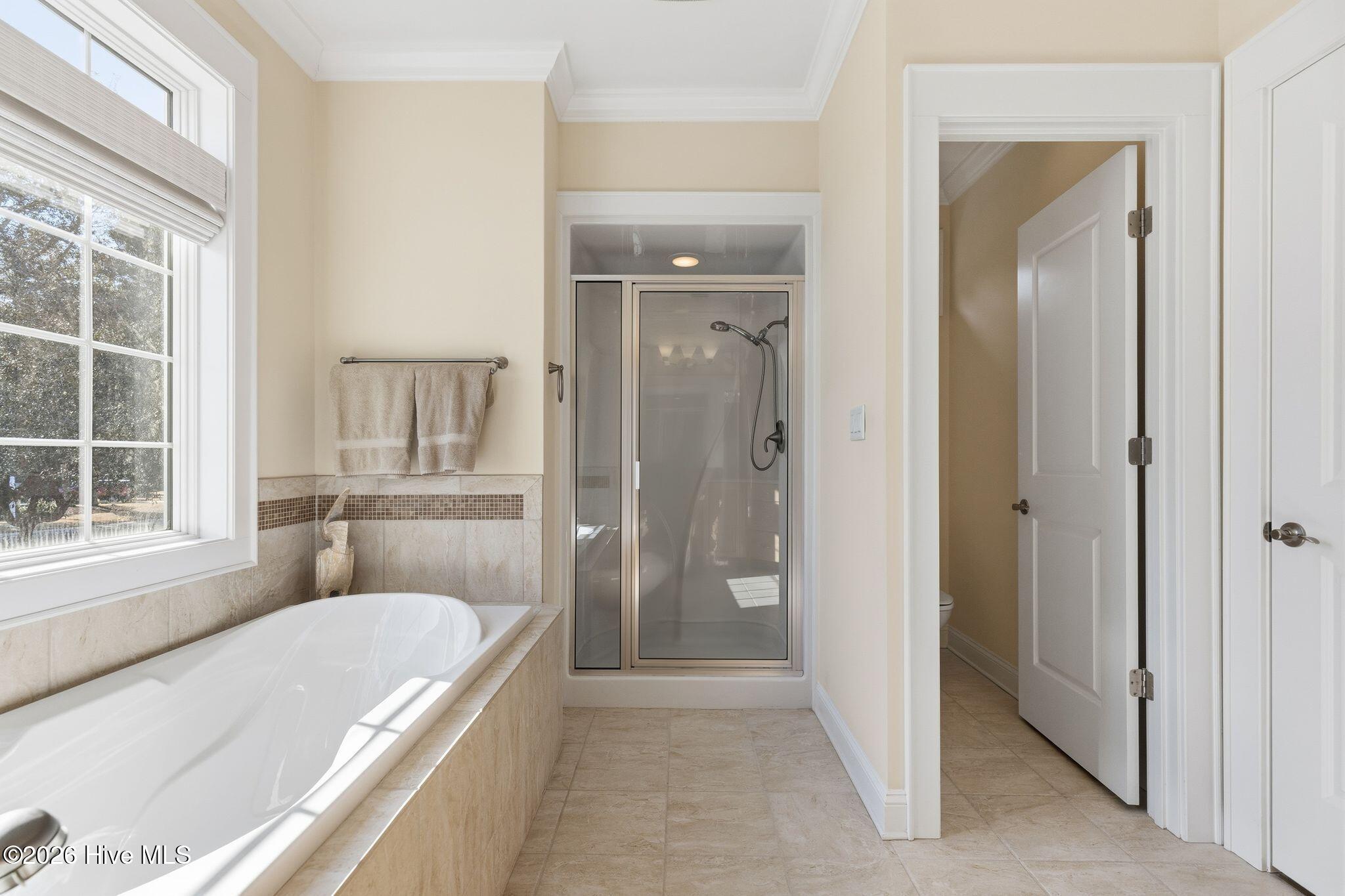 100553774 | Photo 44