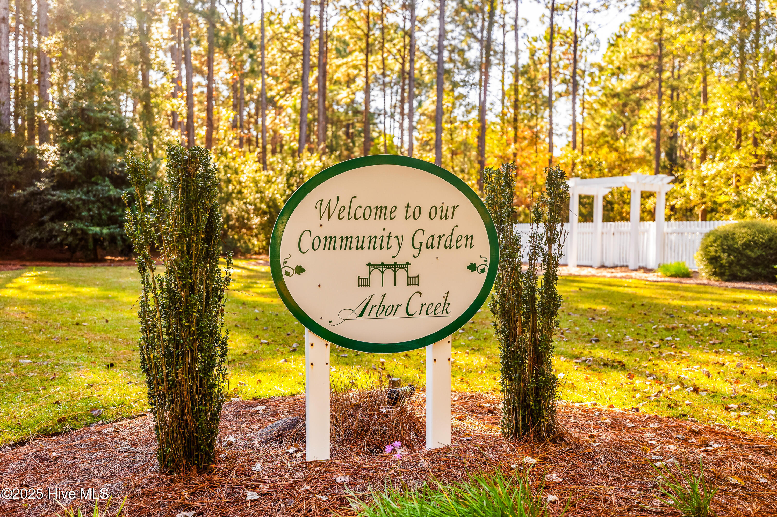 100540432 | Photo 47