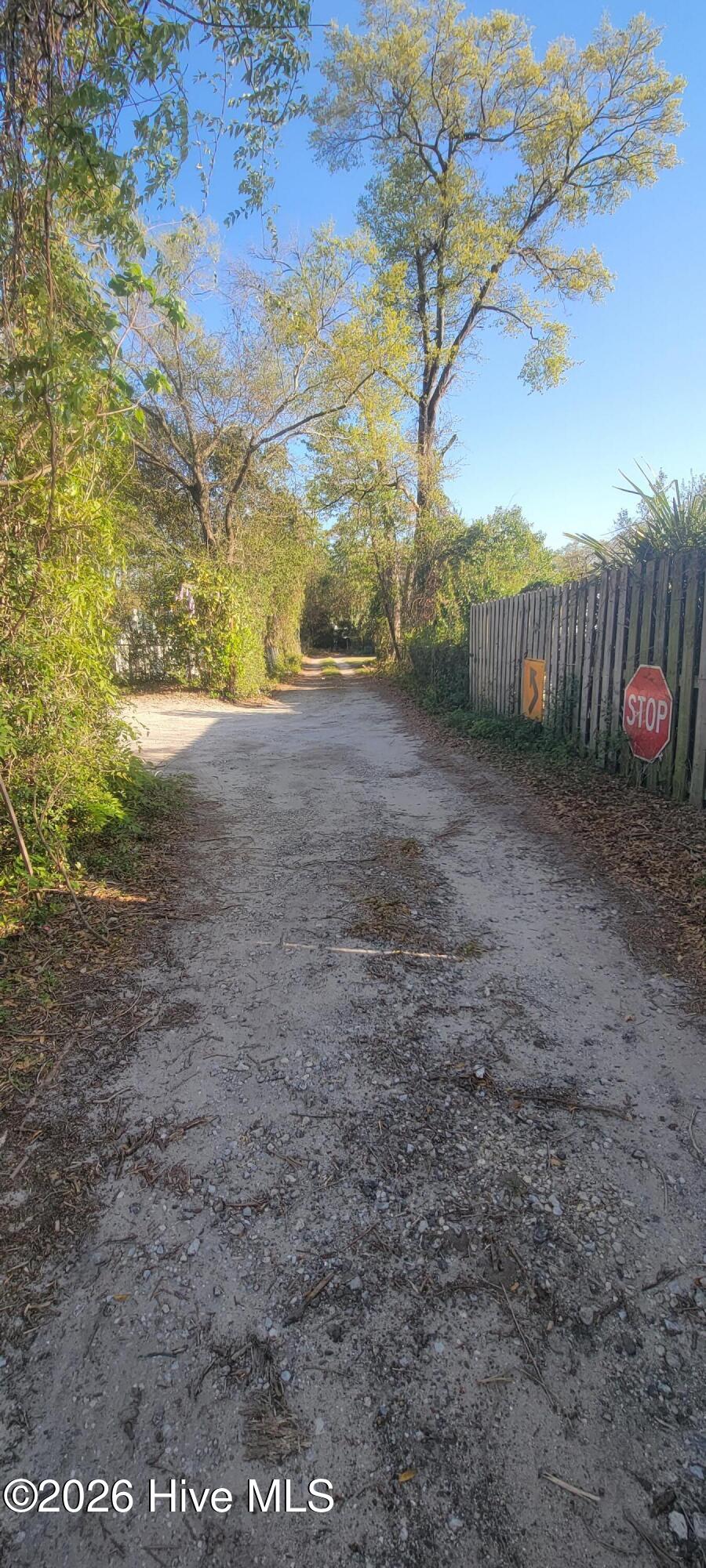 100558773 | Photo 15