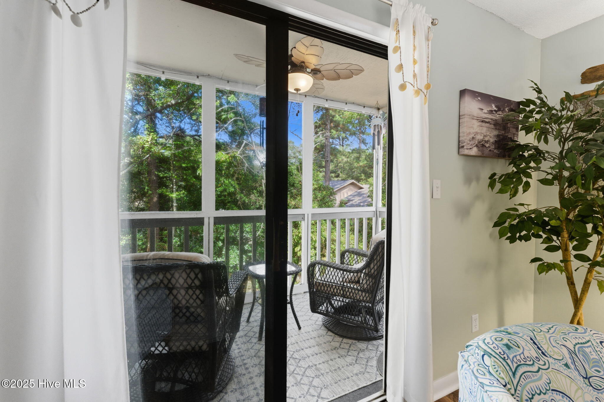 100535157 | Photo 18