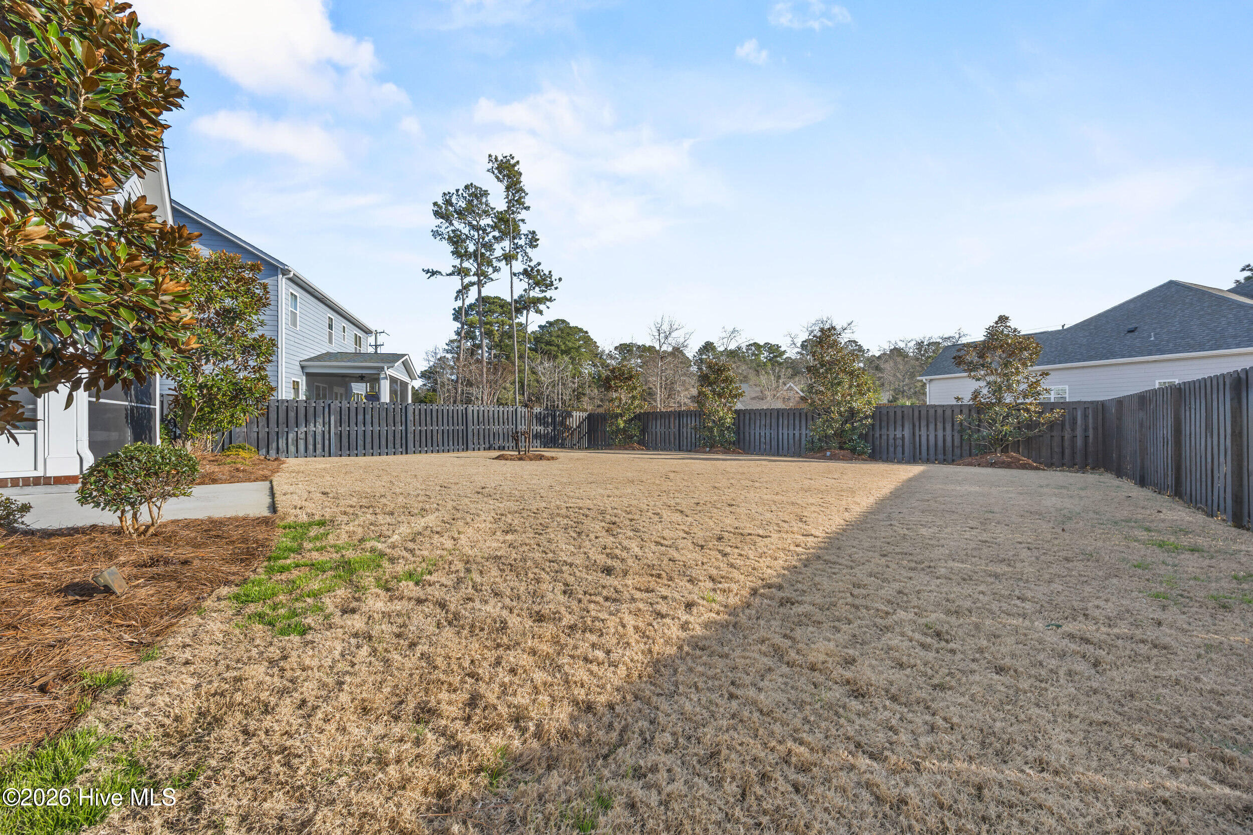 100550953 | Photo 47