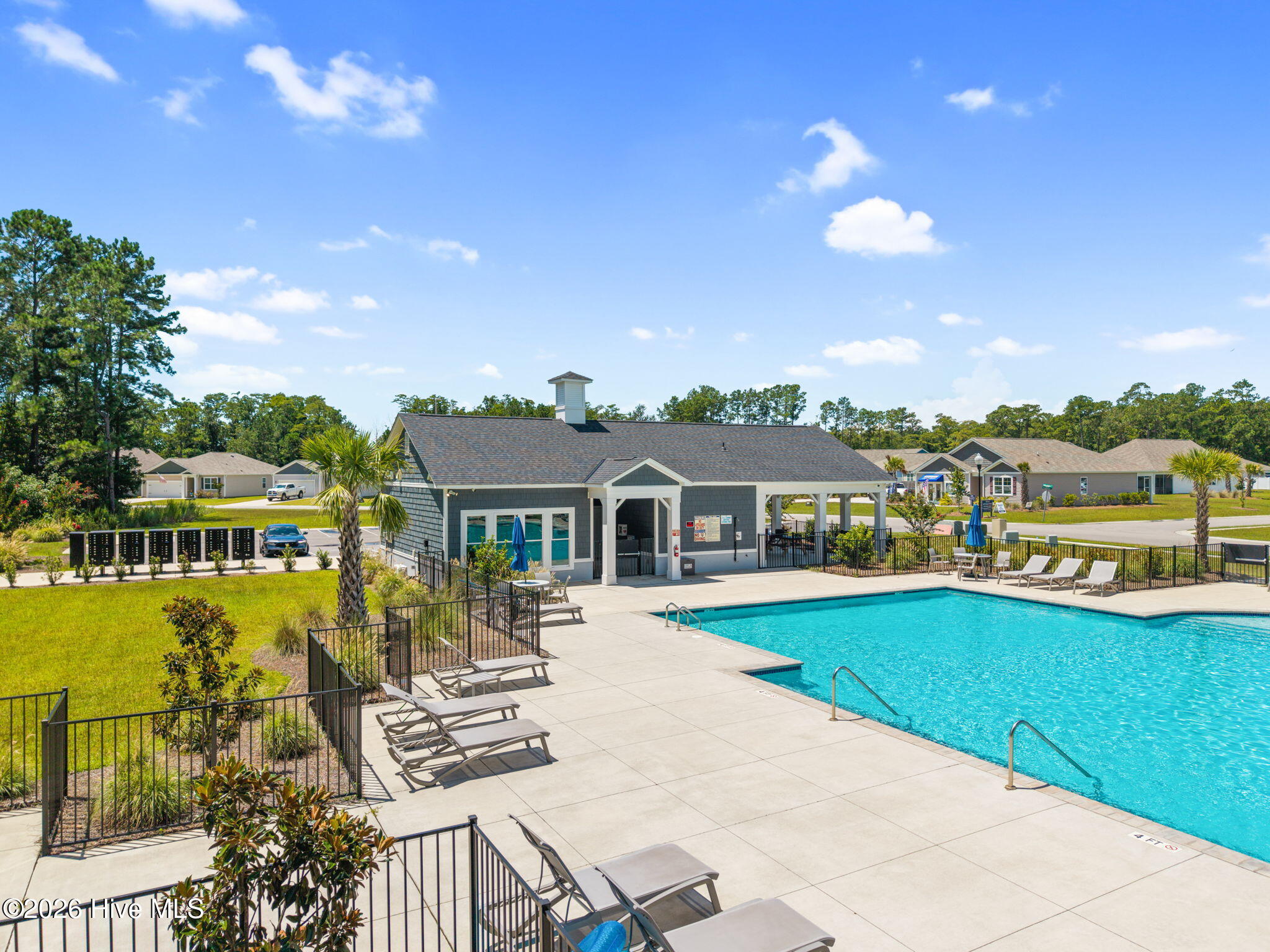 100556458 | Photo 39