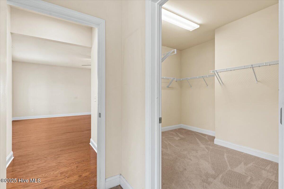 100505325 | Photo 34