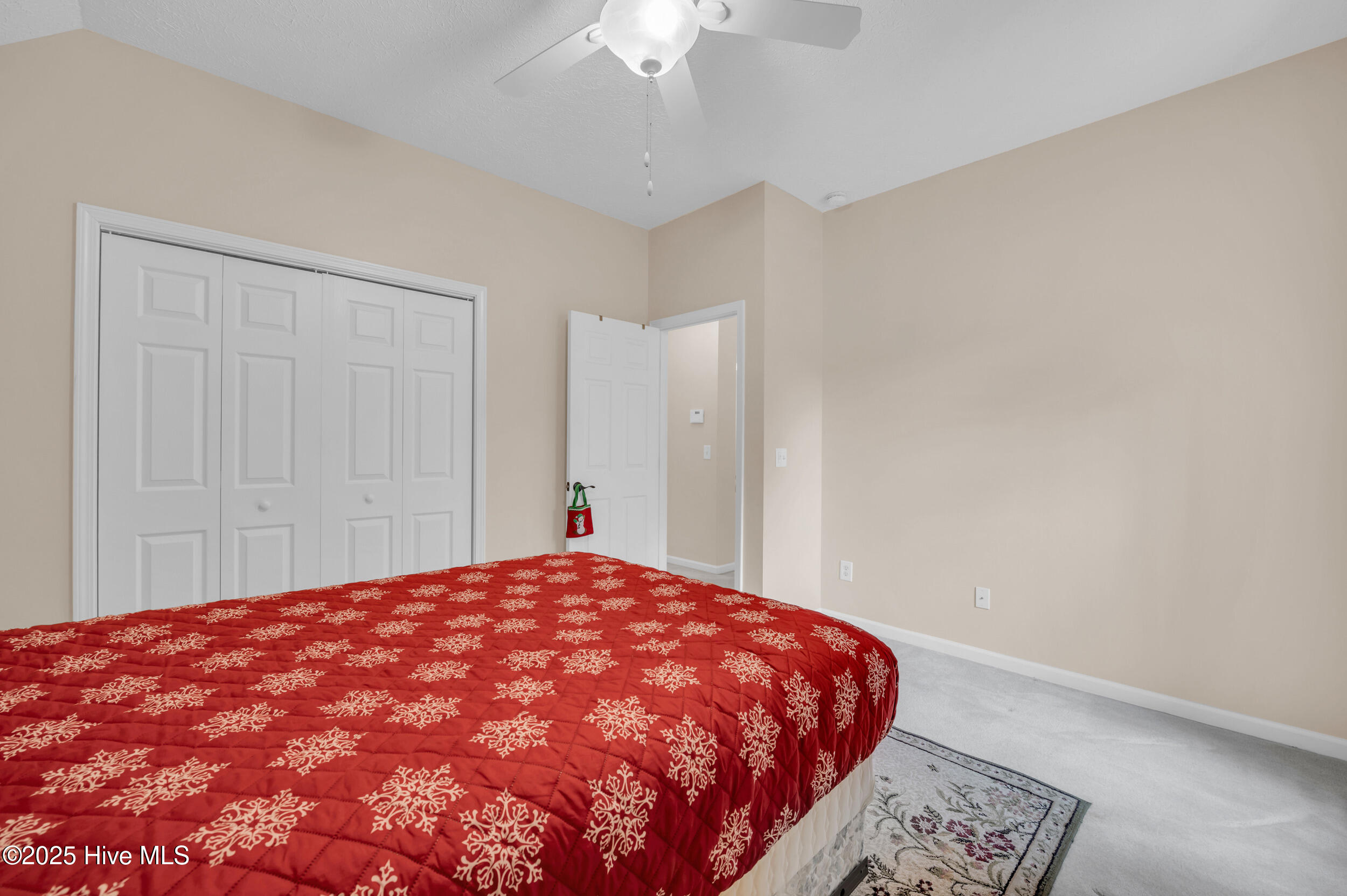 100527690 | Photo 19