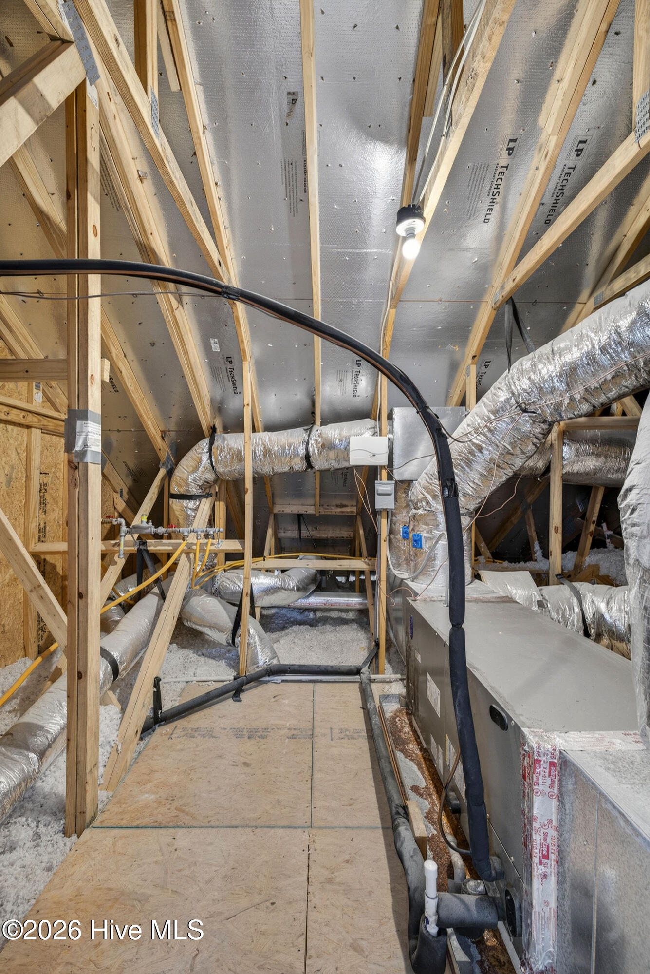 100557170 | Photo 50