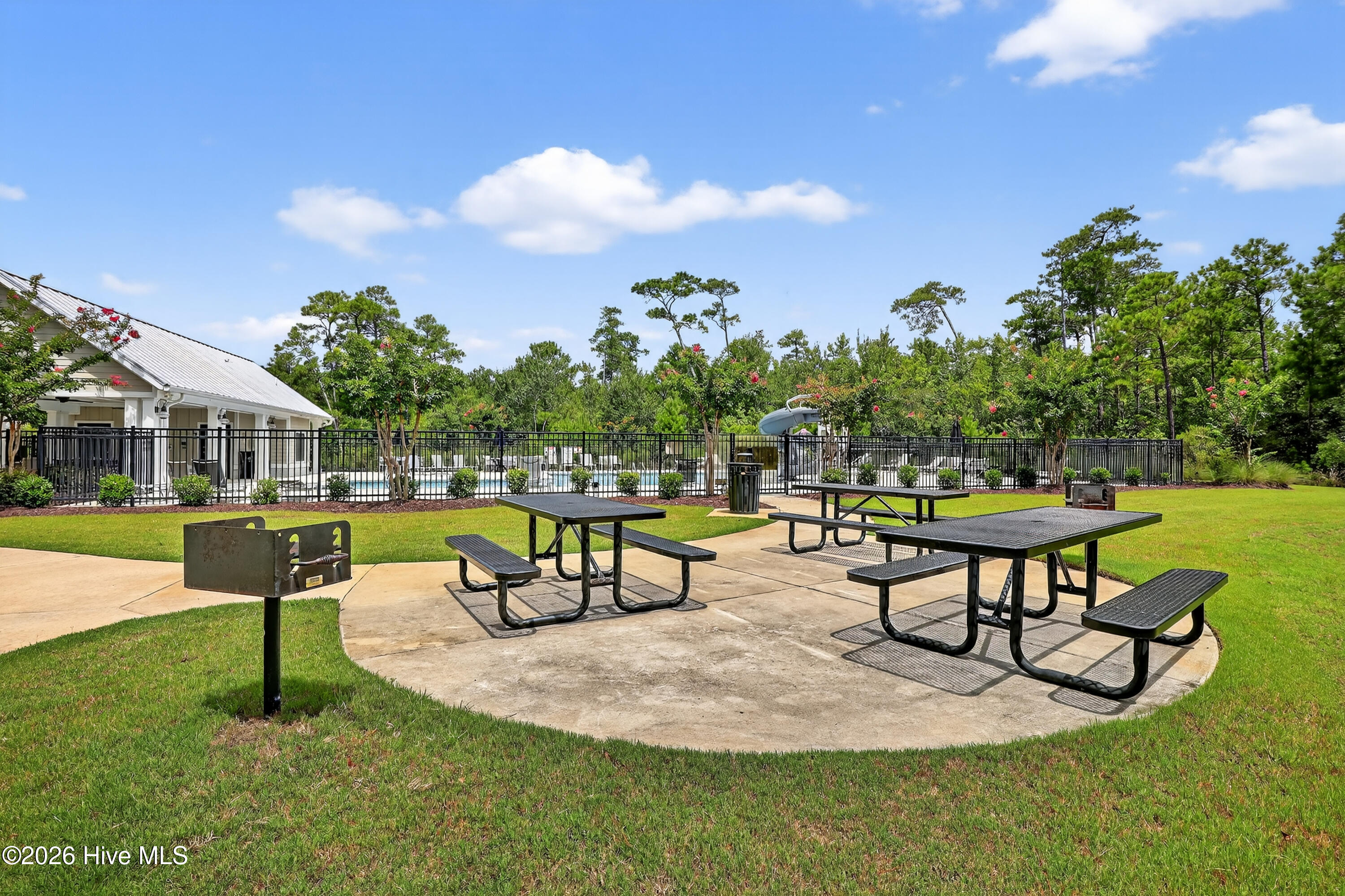 100564151 | Photo 49