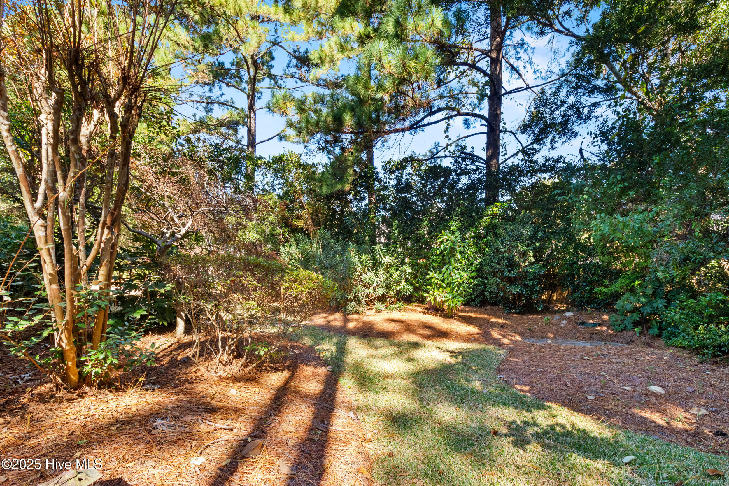 100539143 | Photo 35