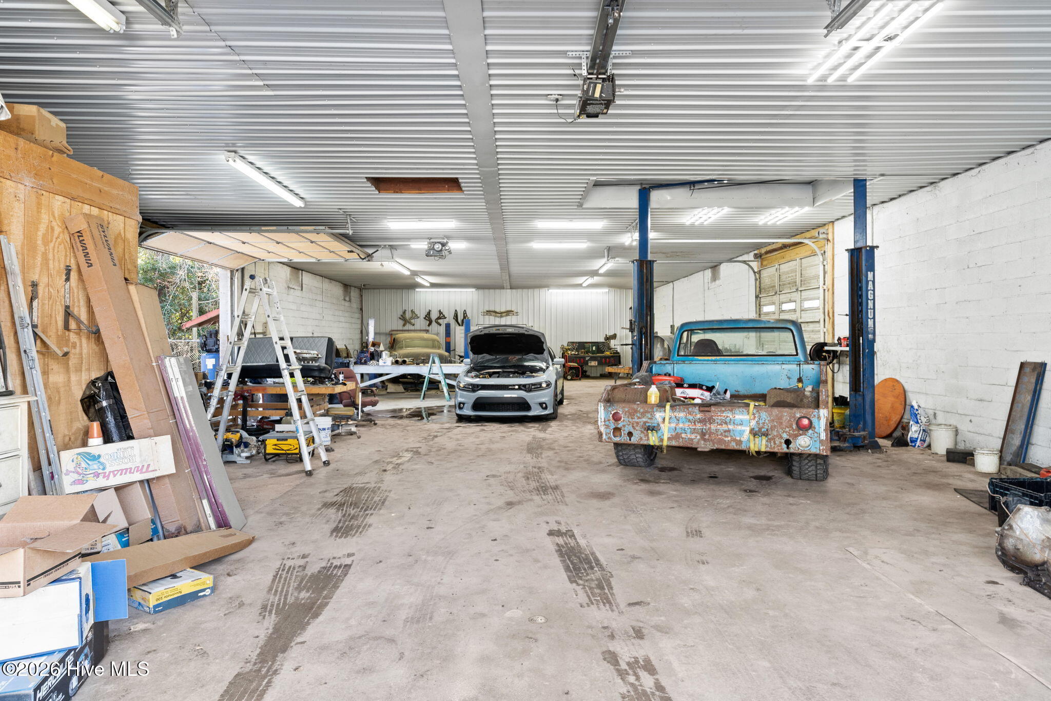 100558919 | Photo 10