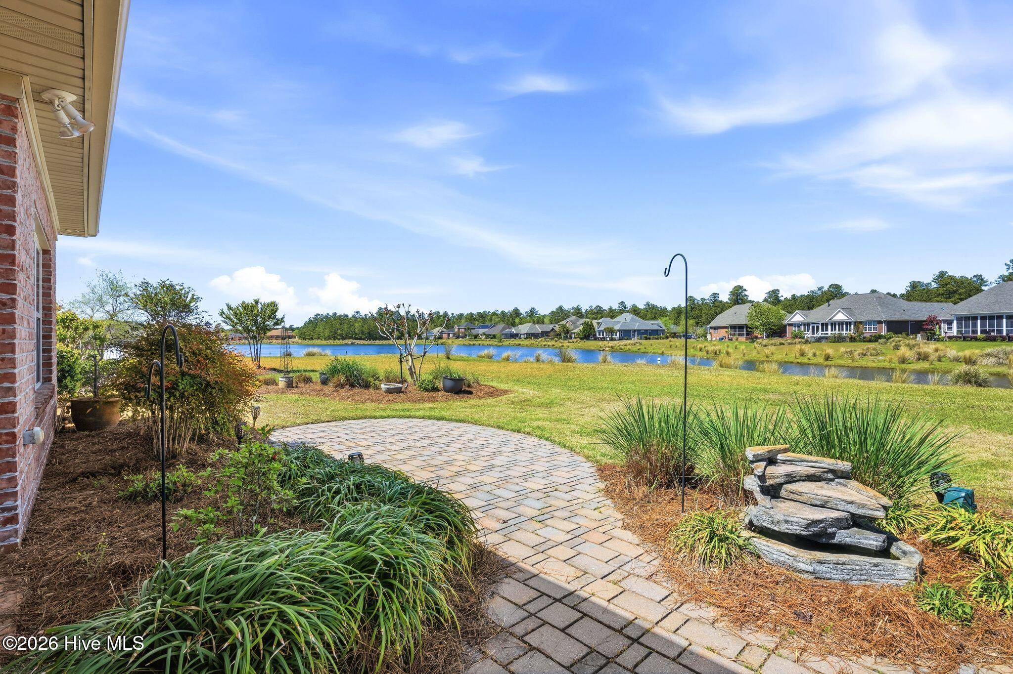 100565235 | Photo 64