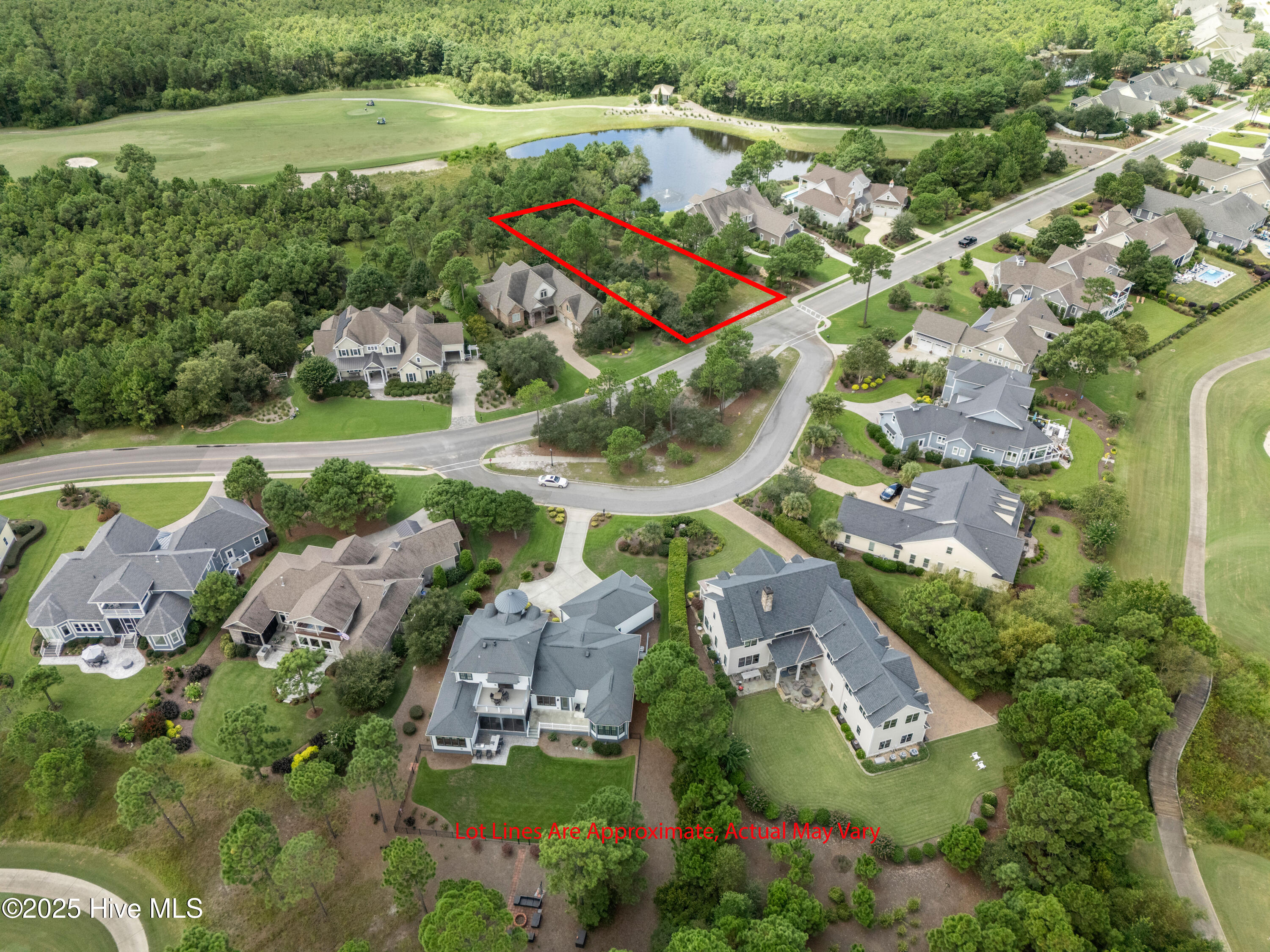 100569790 | Photo 10