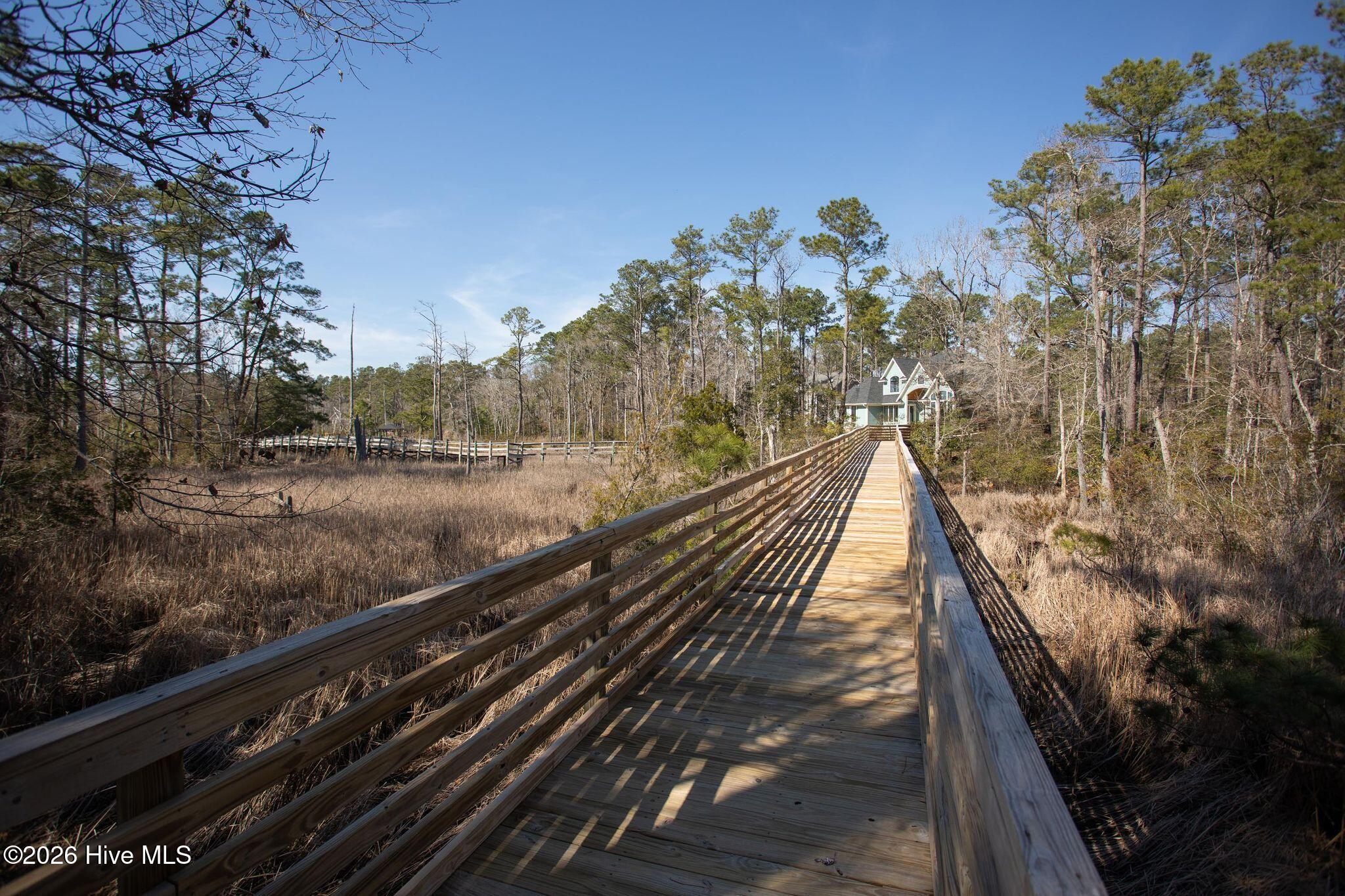 100560702 | Photo 100