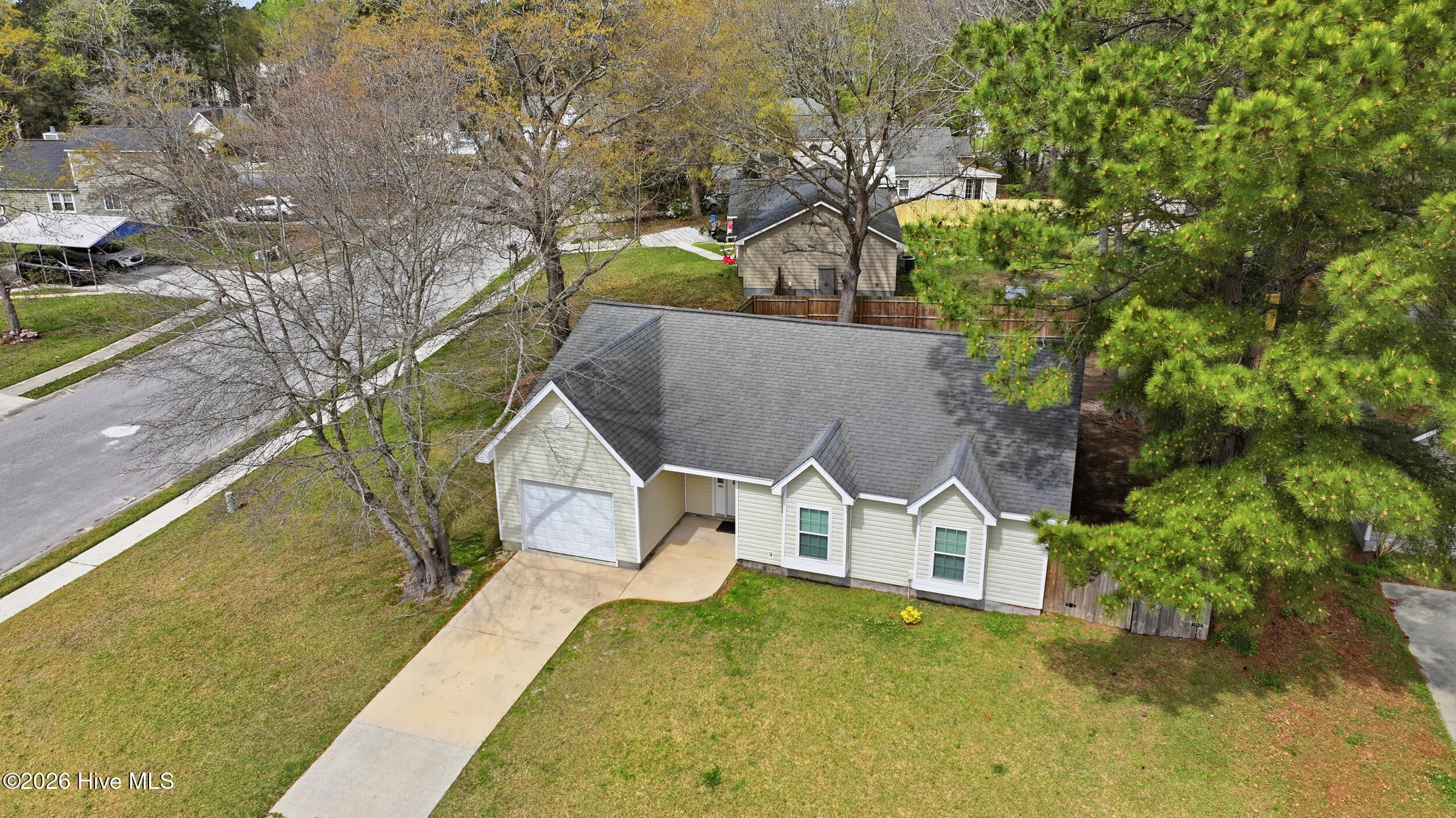 100562899 | Photo 27