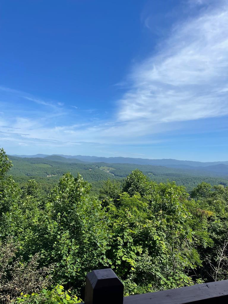 1013 Buck Ridge Drive, Murphy, NC 28906 Listing Photo  12