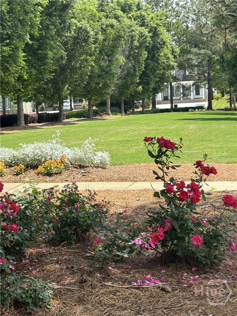 Peaceful front porch views with mature trees and landscaped surroundings.