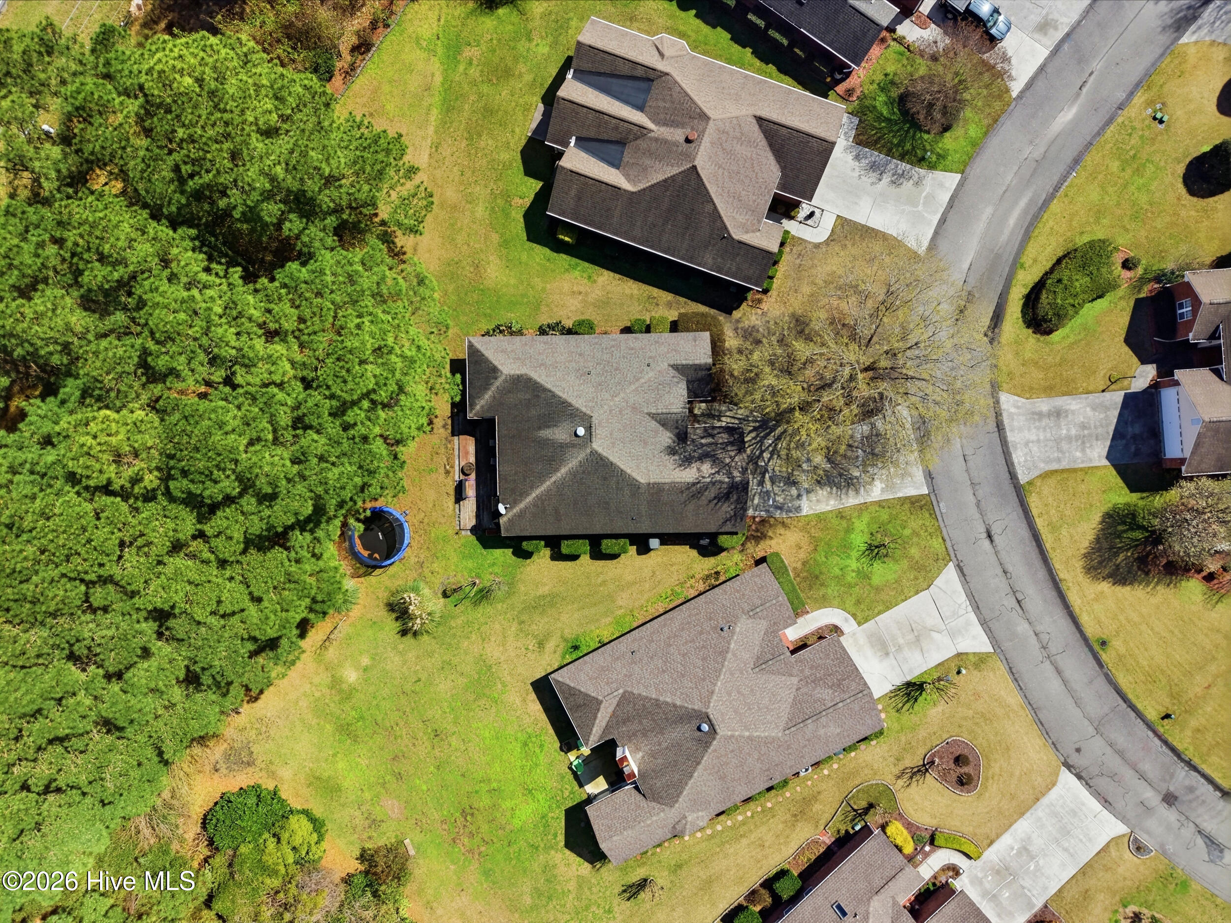 100559027 | Photo 31