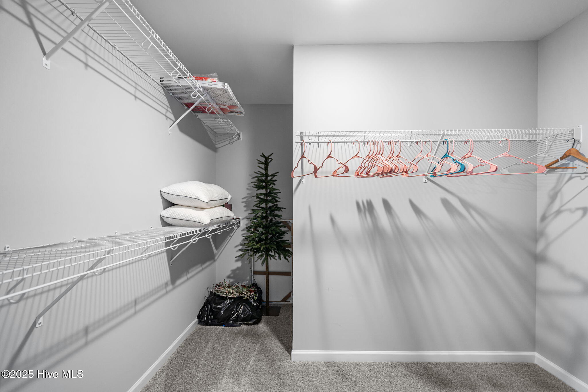 100528737 | Photo 35