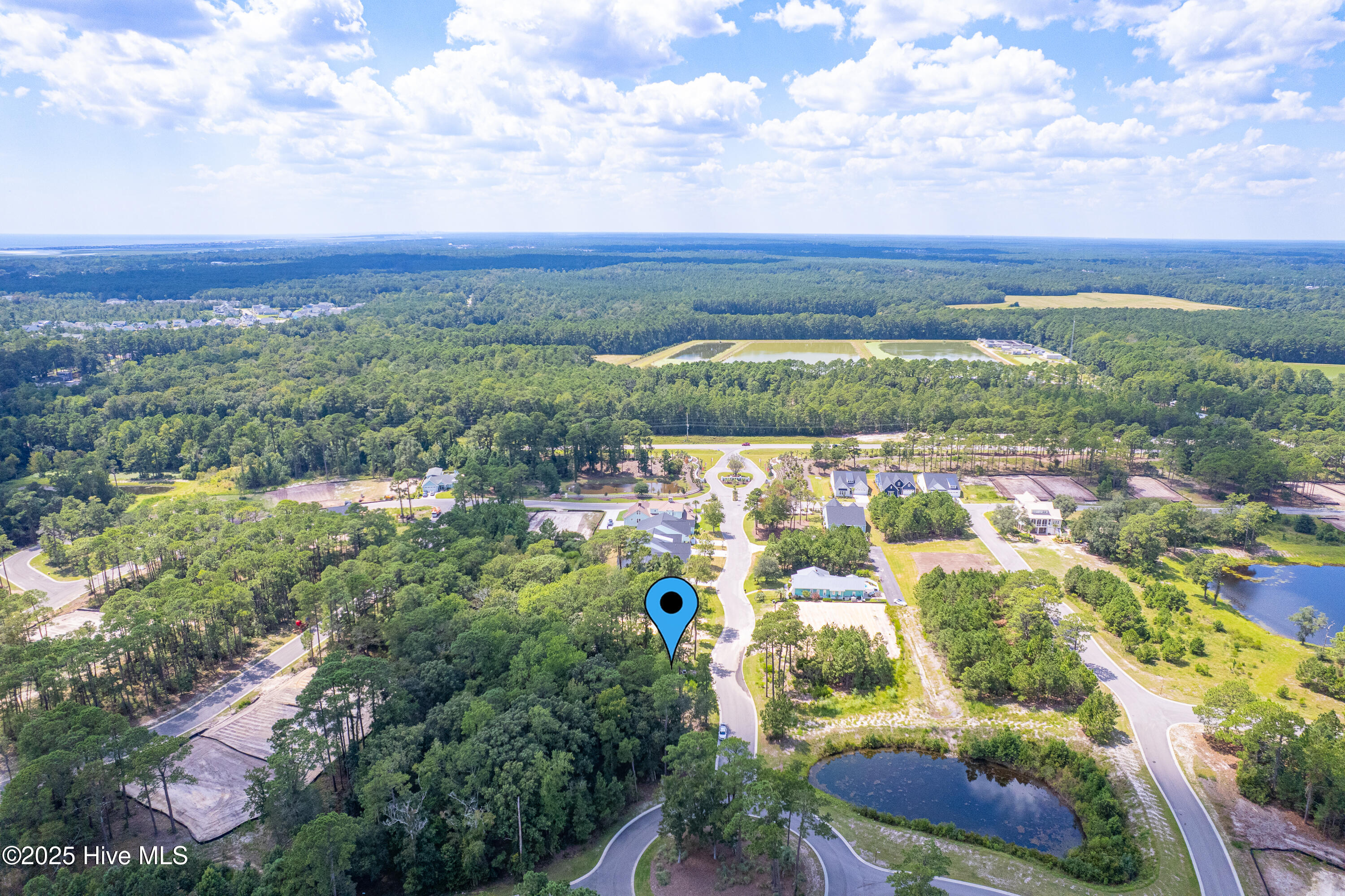 100525584 | Photo 13