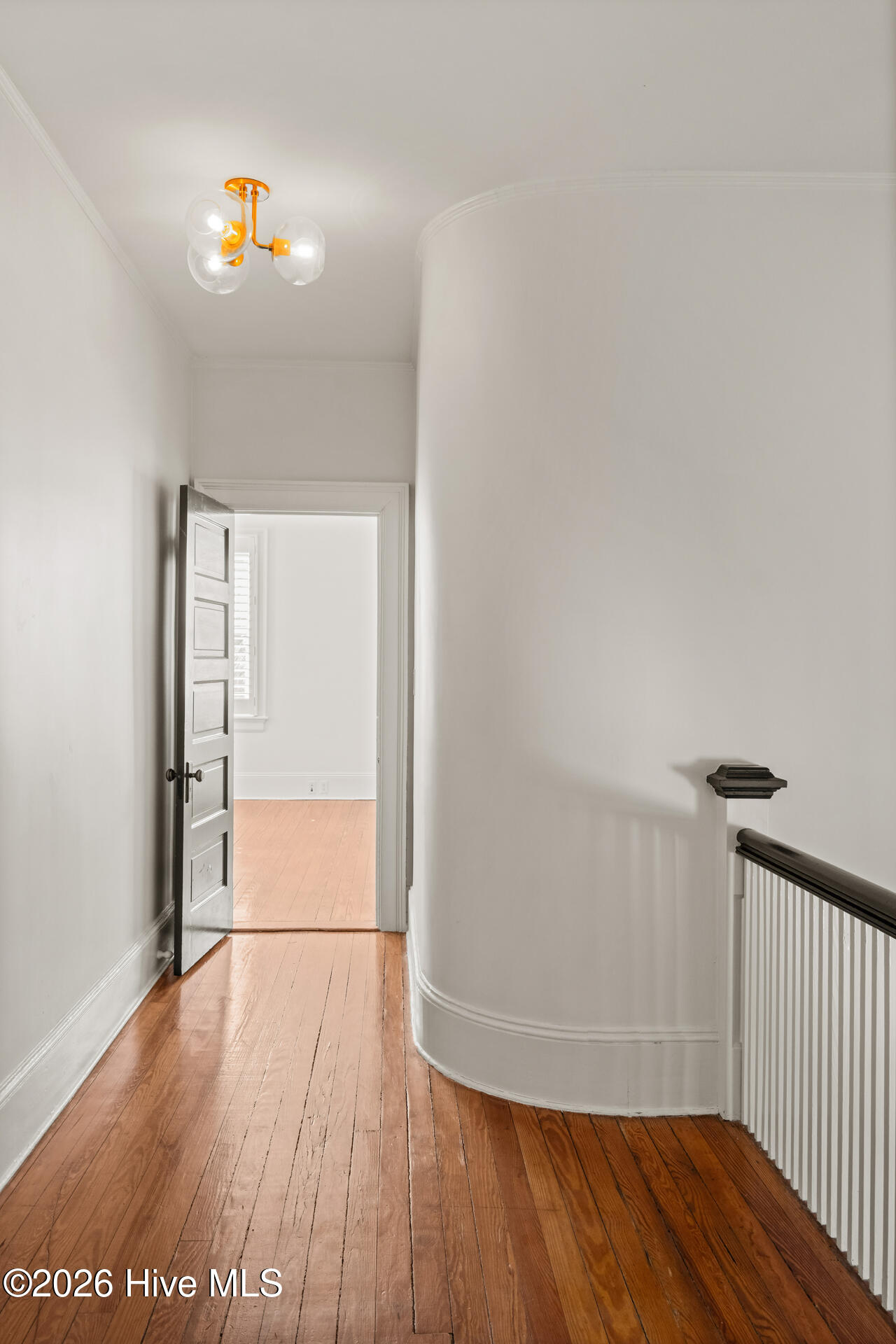 100556093 | Photo 24