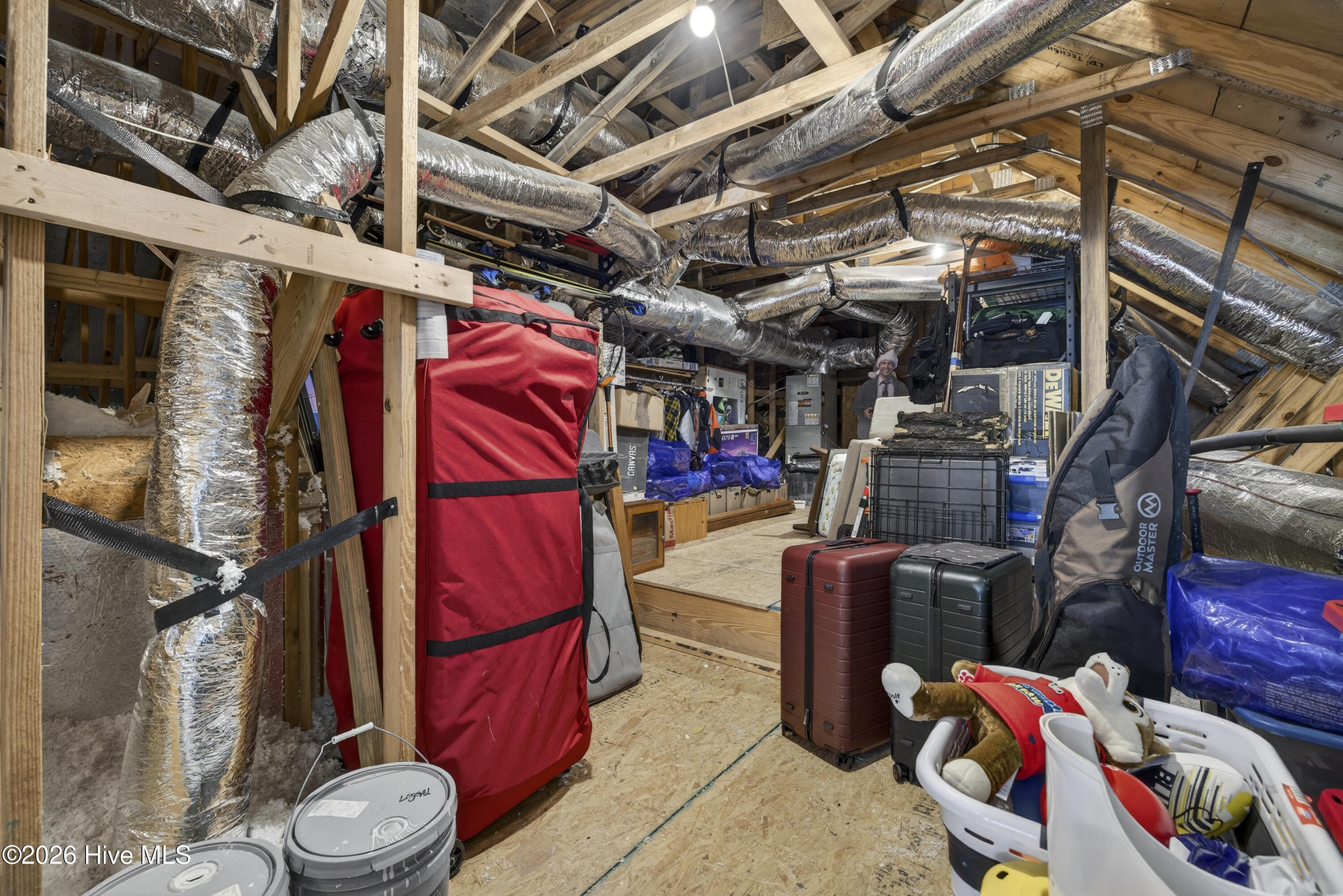 100564336 | Photo 40