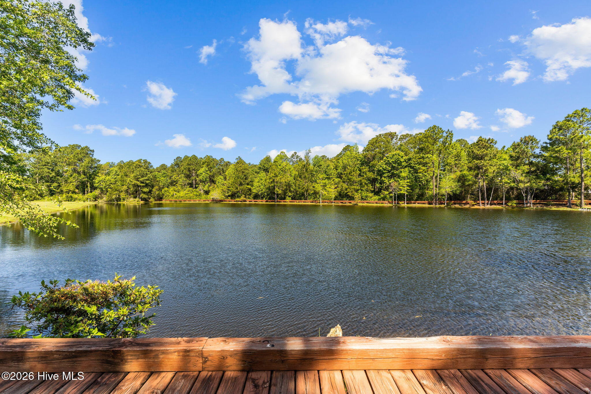 100558895 | Photo 70