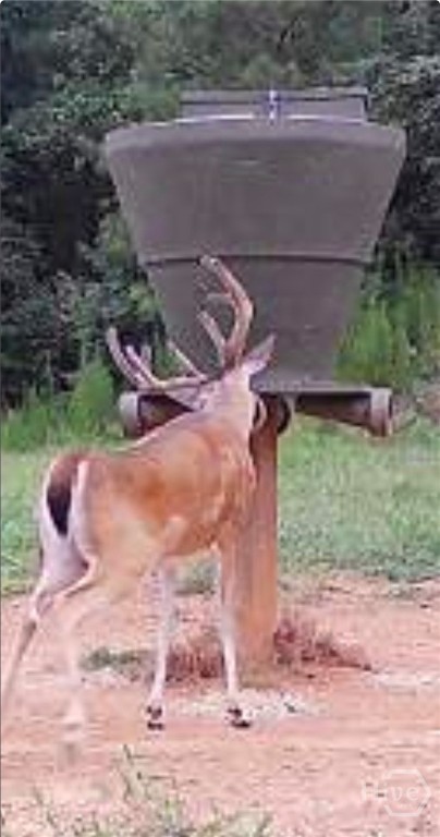 Homes for sale in Comer, GA | 0 Ga Hwy 72, Comer, GA 30629 | MLS# CL344632