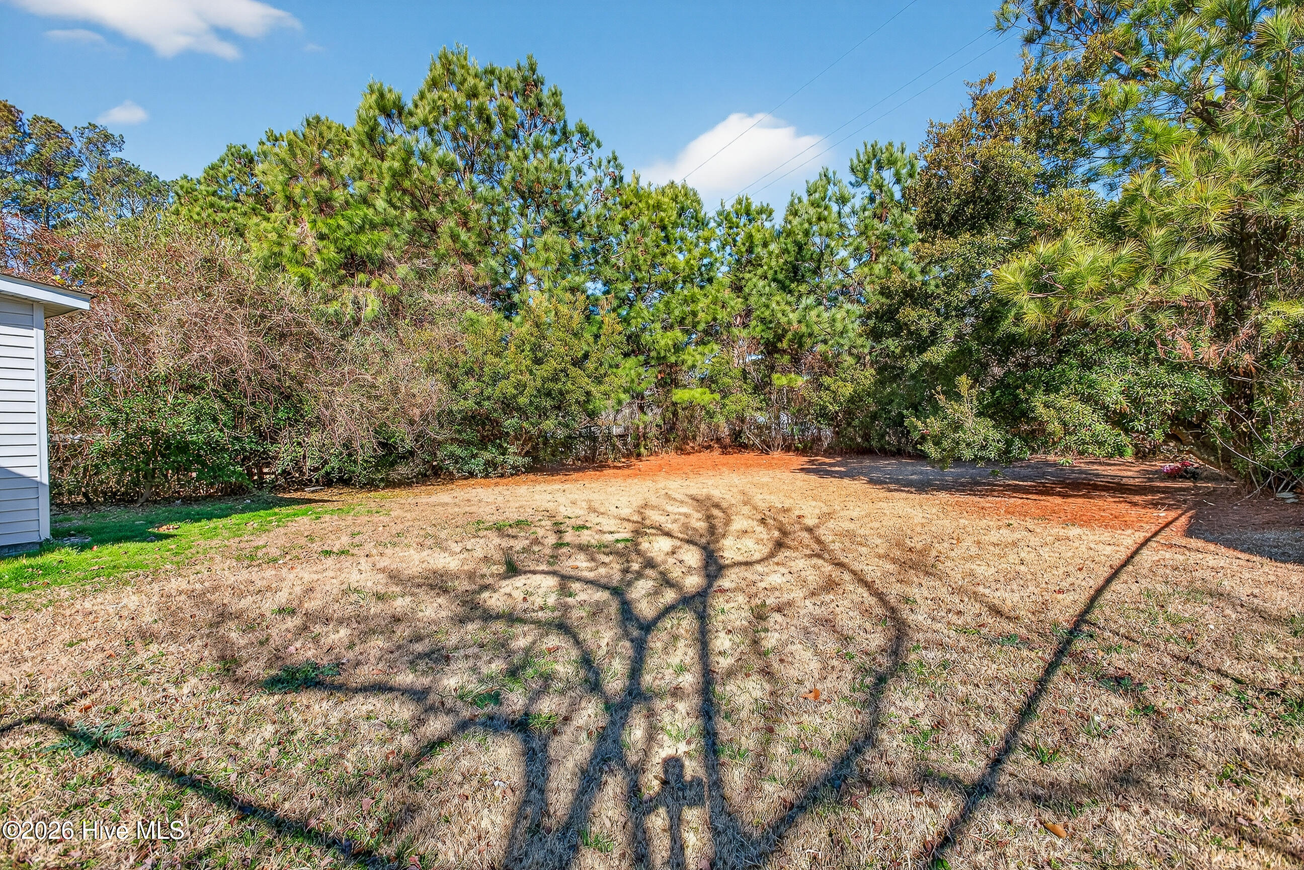 100549114 | Photo 21