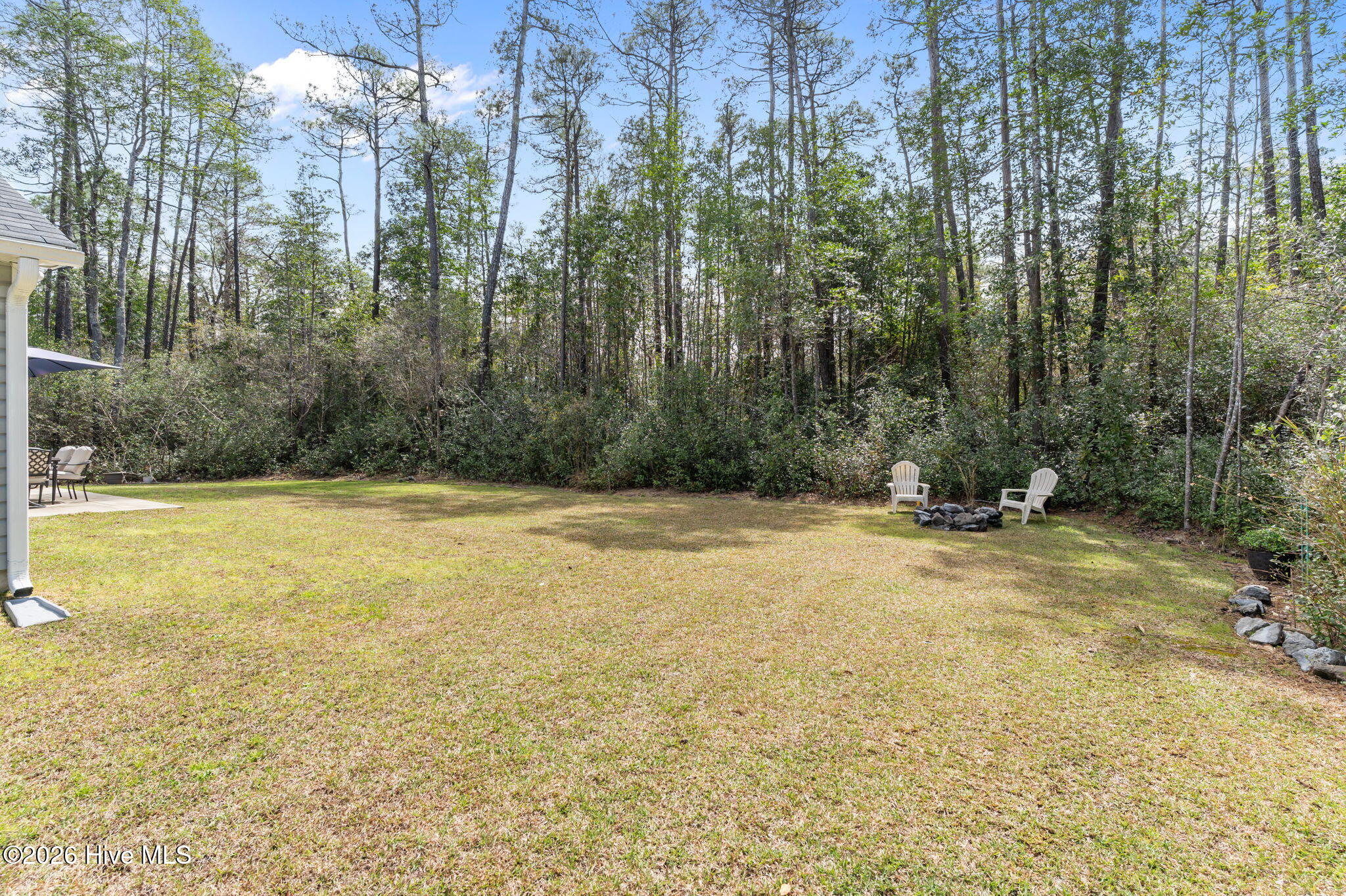 100561212 | Photo 41