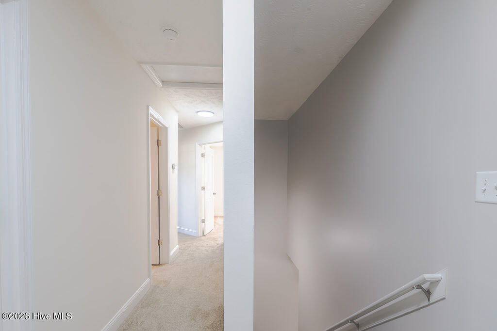 100548131 | Photo 30