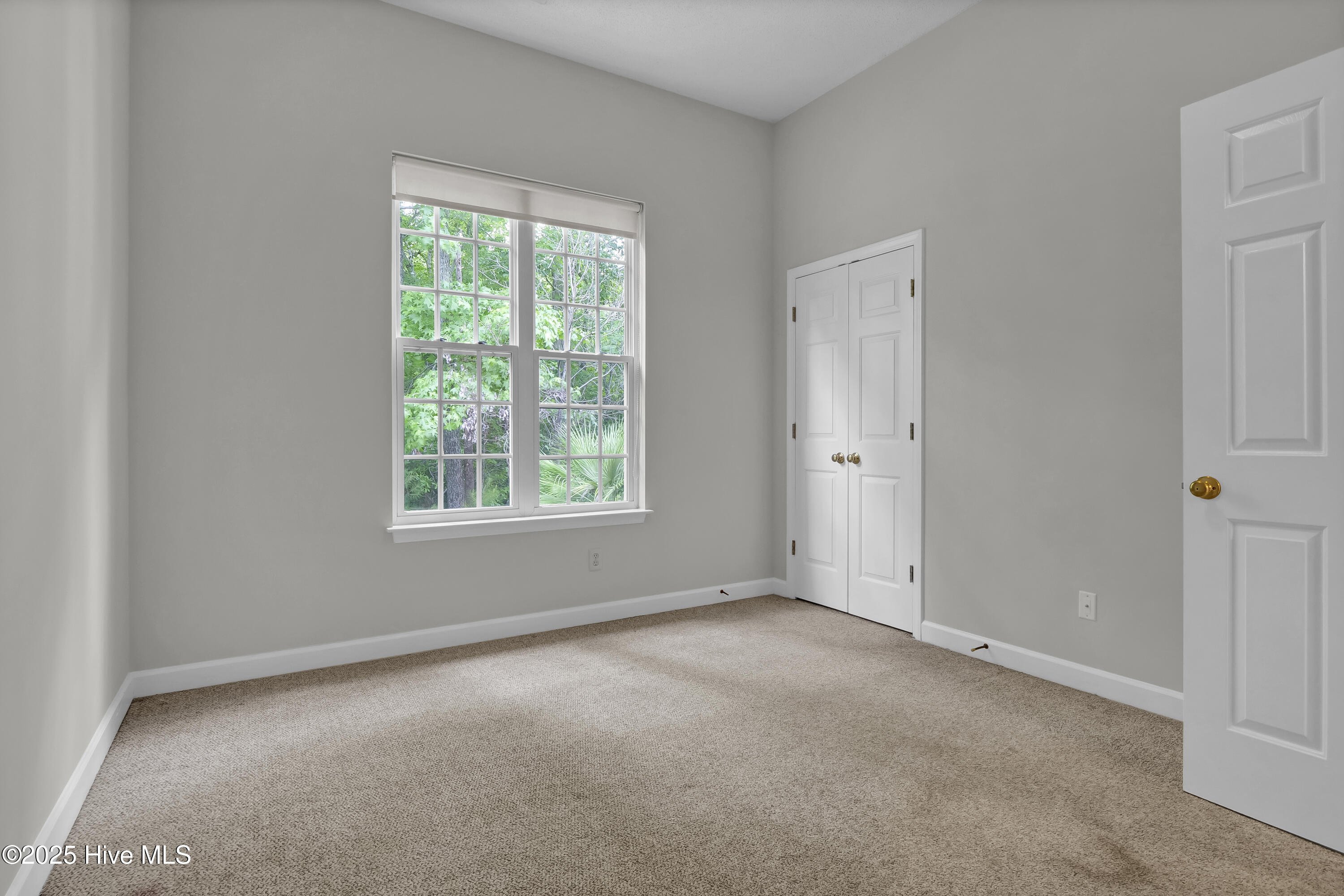 100510157 | Photo 13