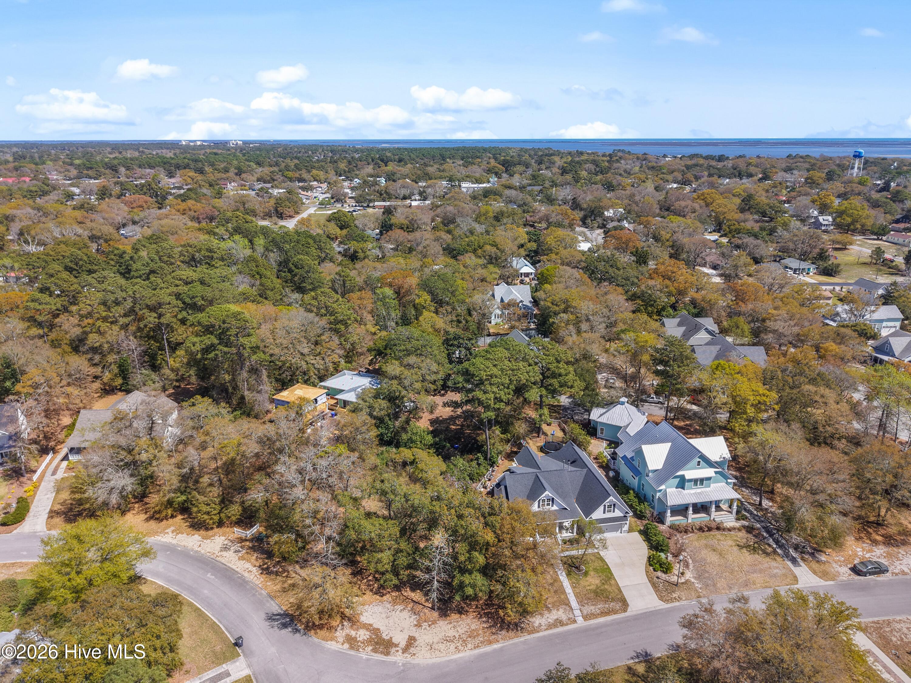 100563883 | Photo 24