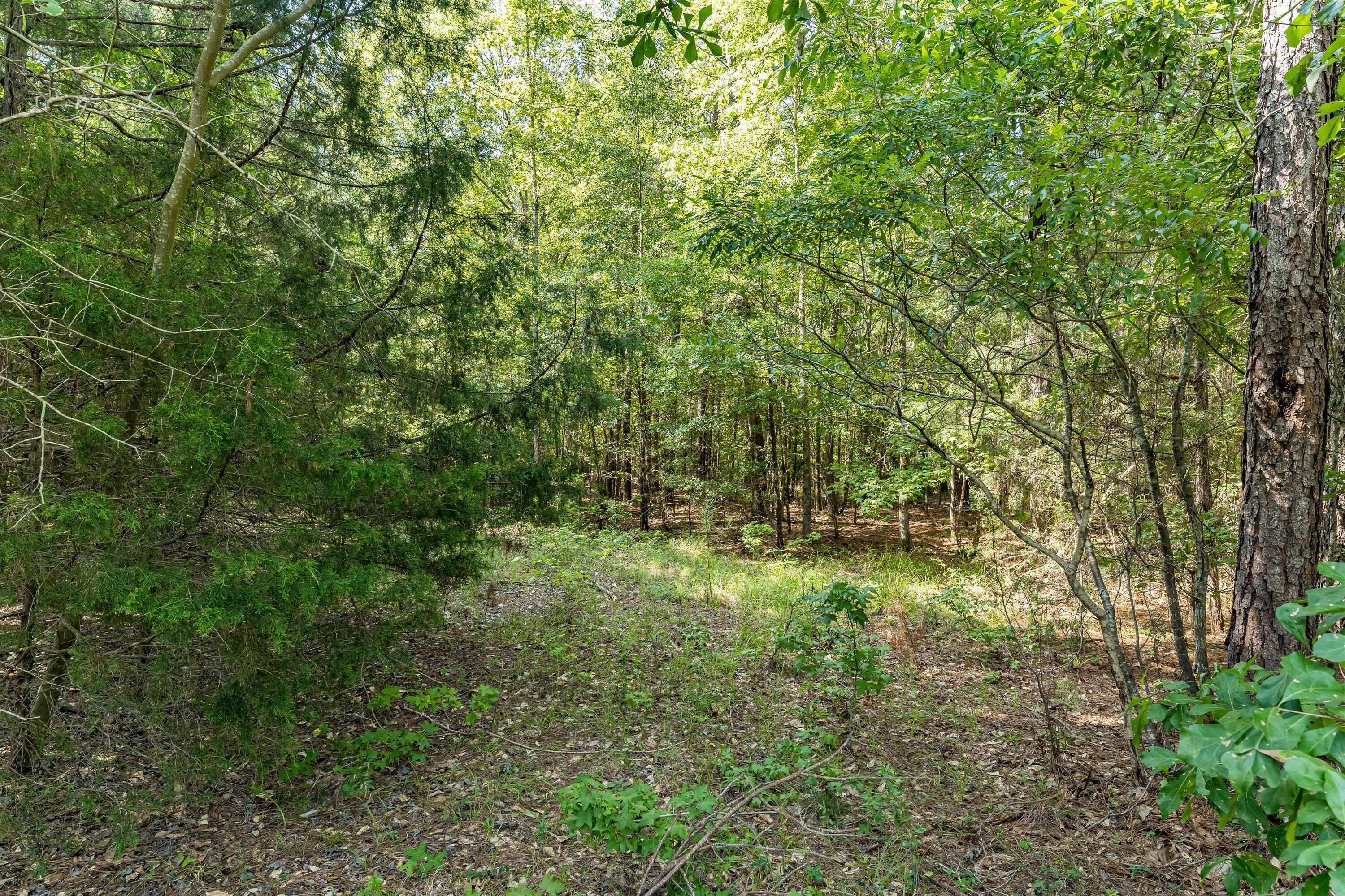 16-P1557758