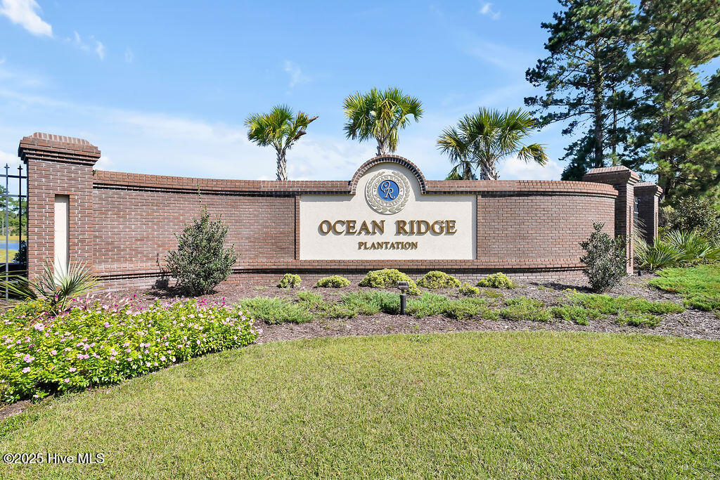 100535984 | Photo 115