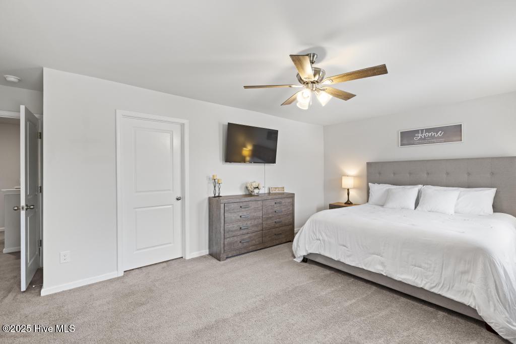 100536703 | Photo 28