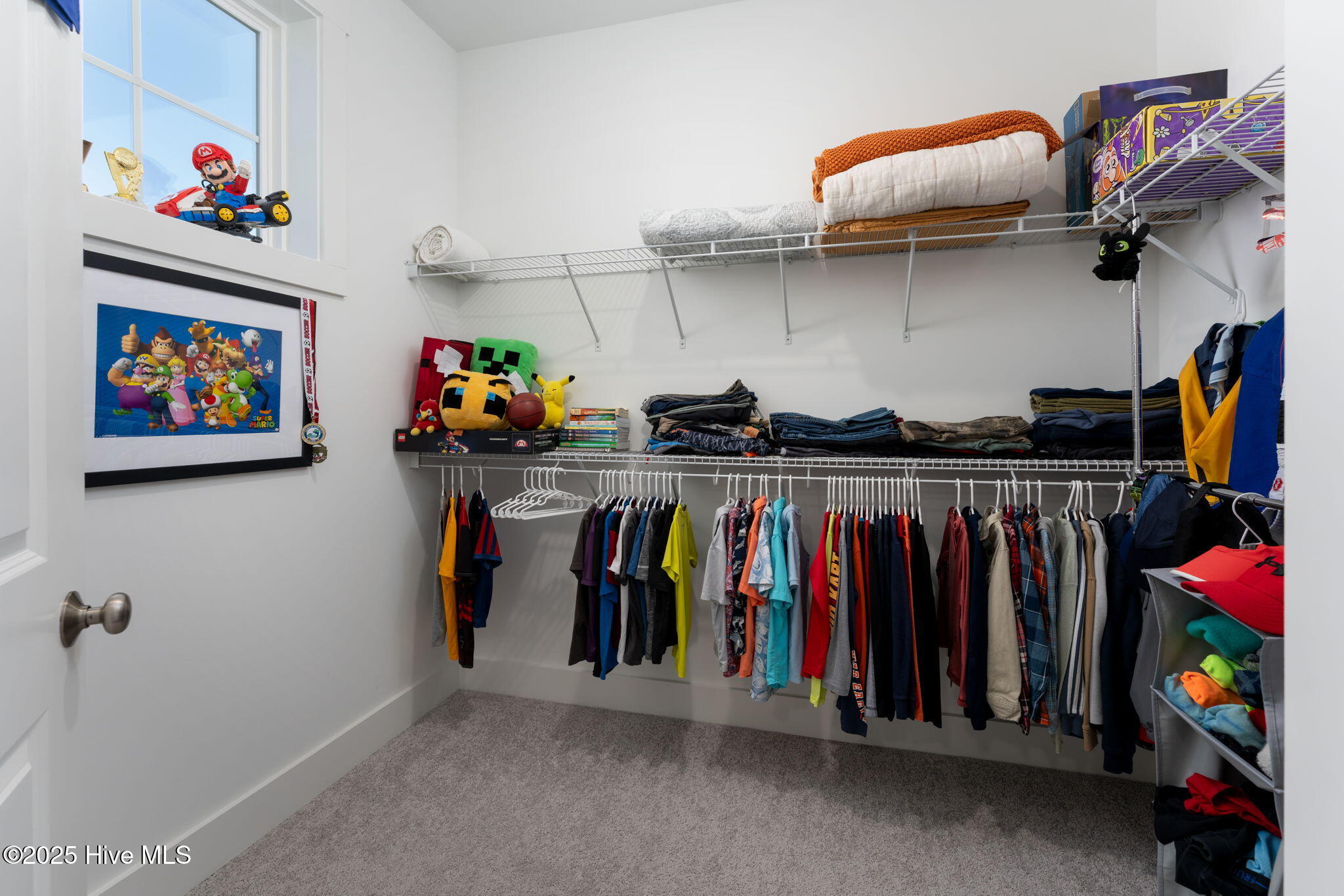 100527863 | Photo 43