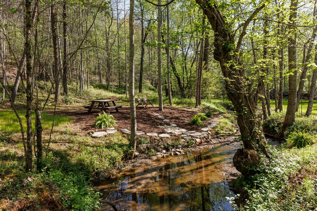 Creekside picnic area