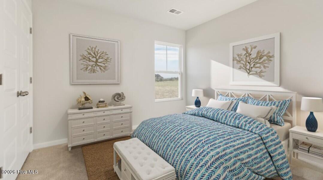 100569154 | Photo 12