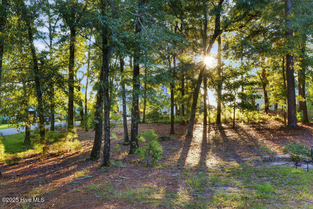 100537011 | Photo 83