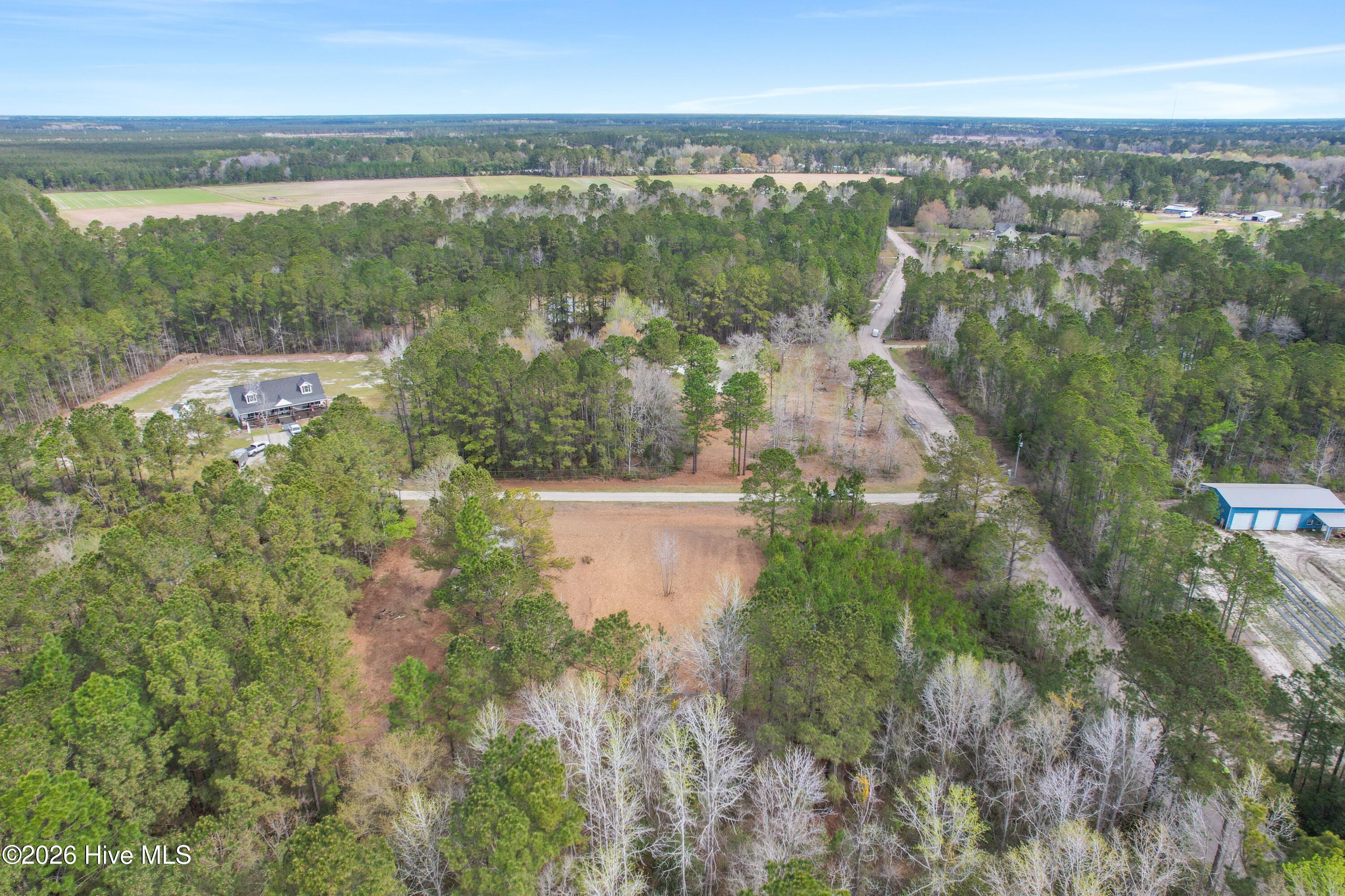 100563116 | Photo 13