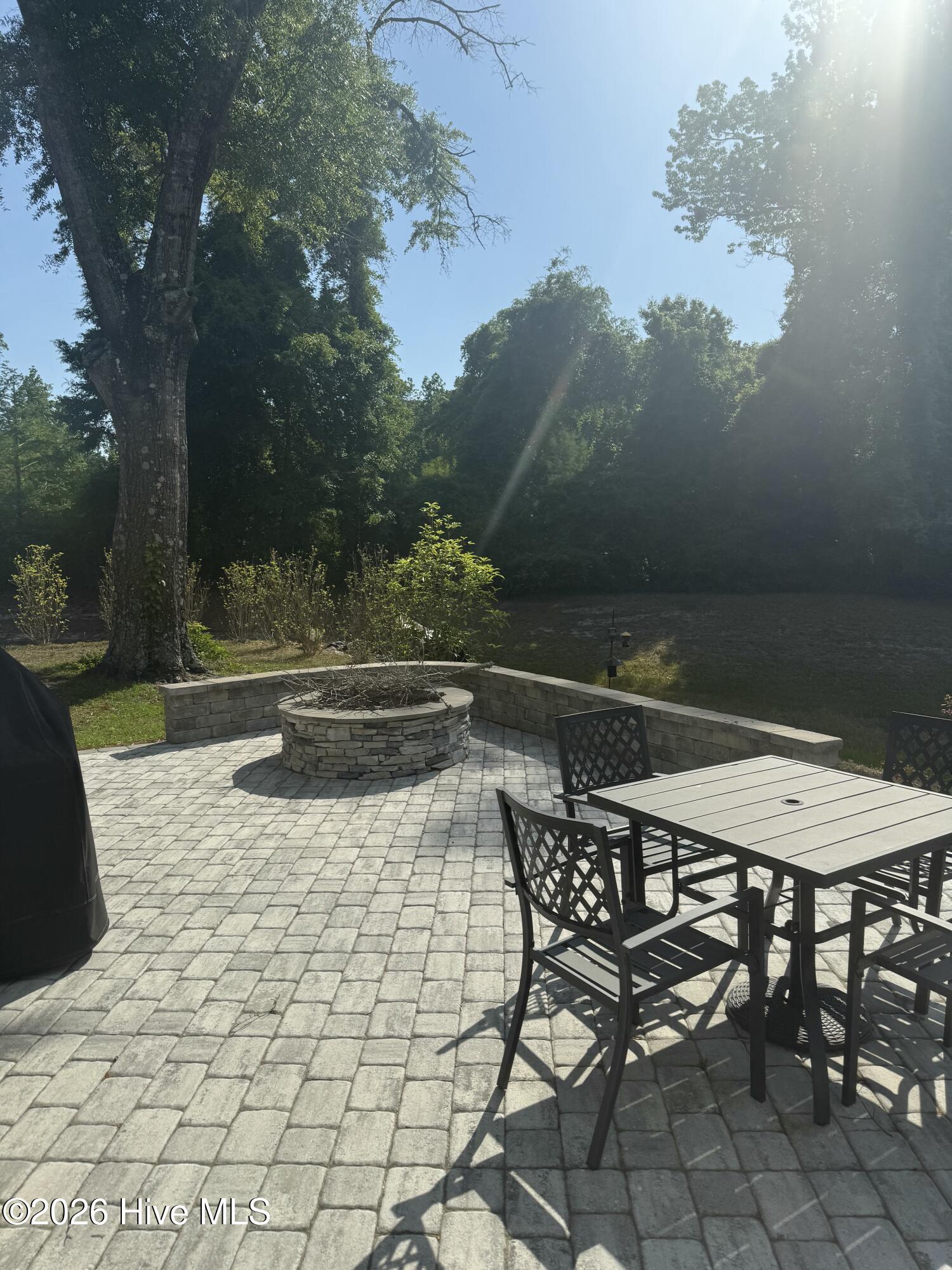 100557326 | Photo 17