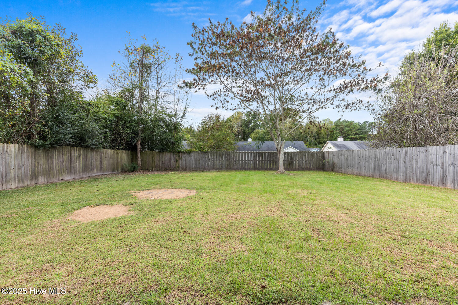 100536687 | Photo 17