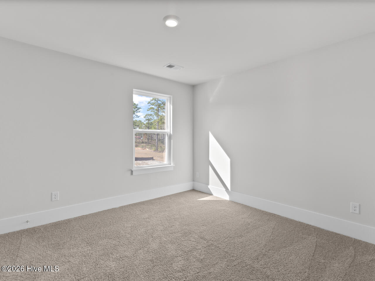 100530535 | Photo 33