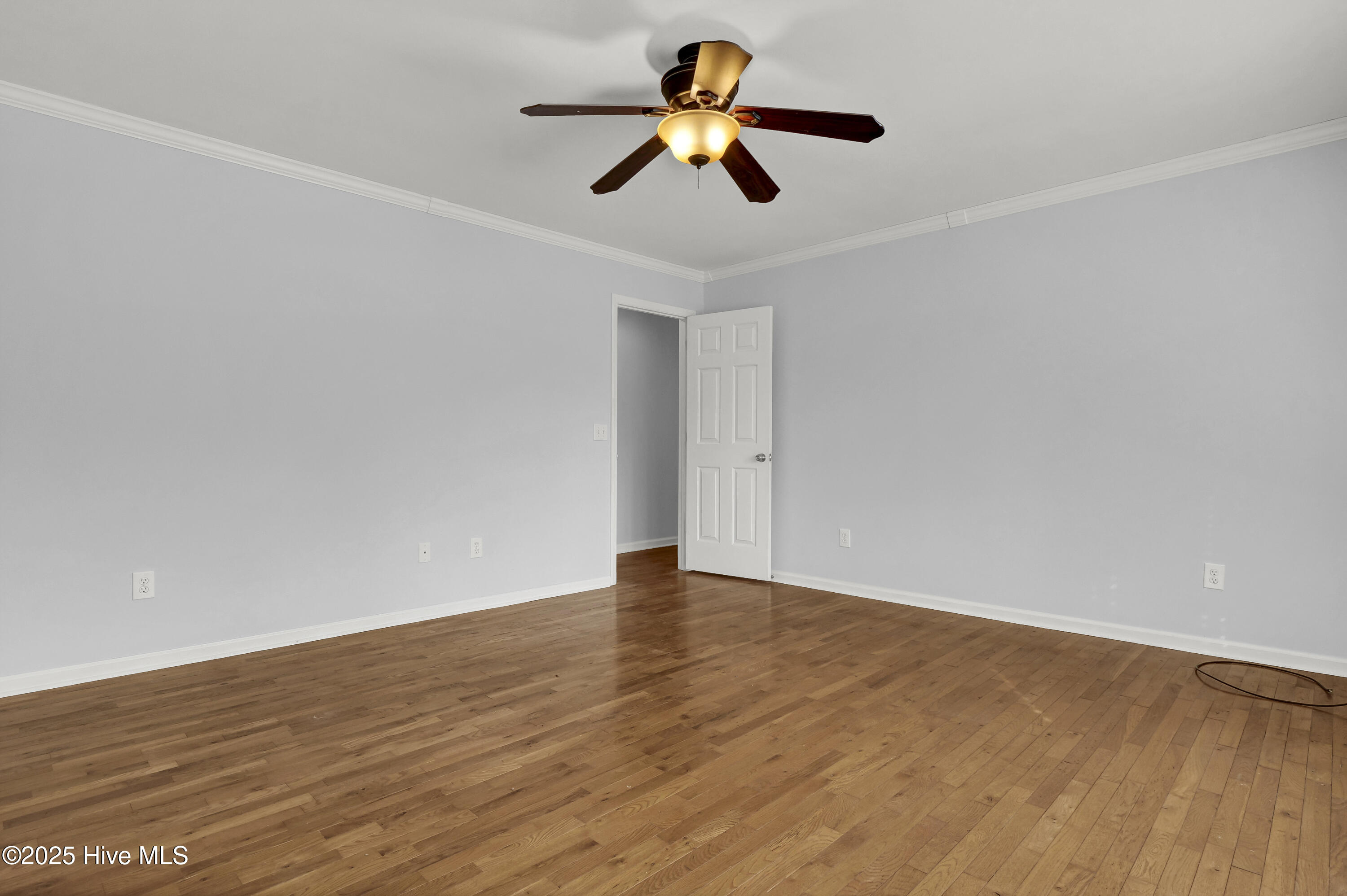 100546106 | Photo 15