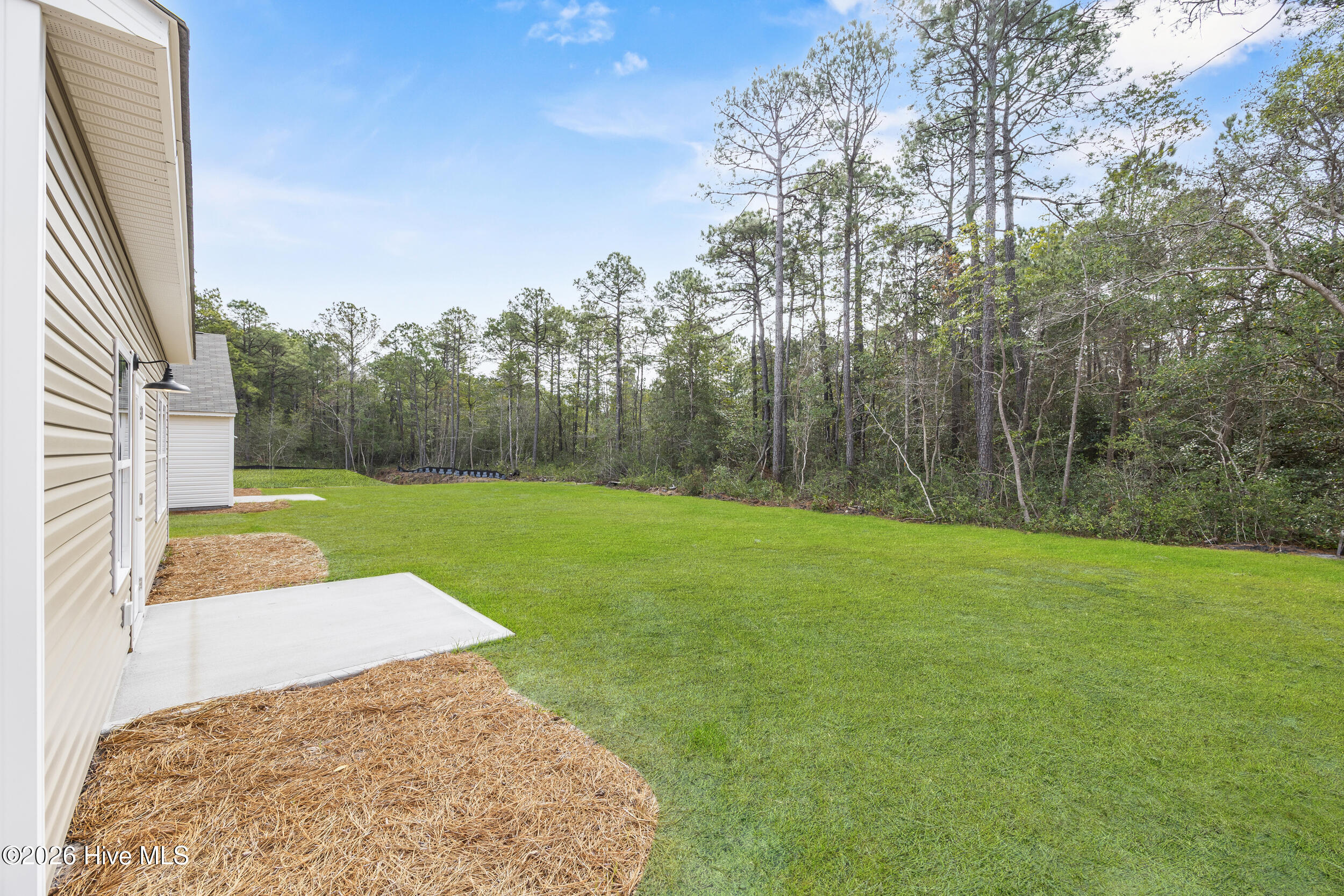 100541173 | Photo 18