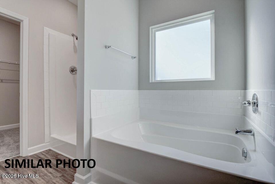 100566505 | Photo 15