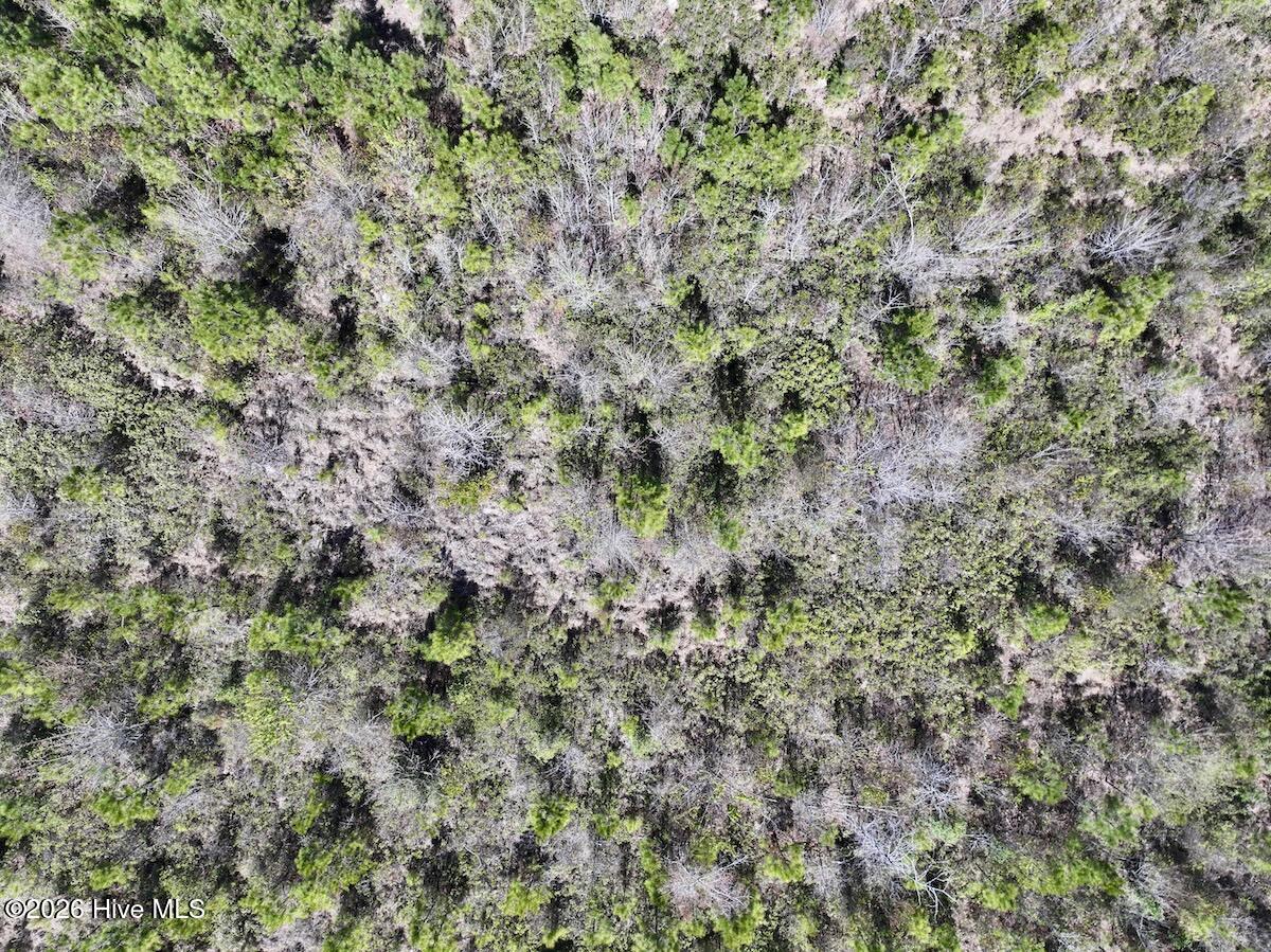 0 Guinea Mill Road, Ernul, NC, 28527