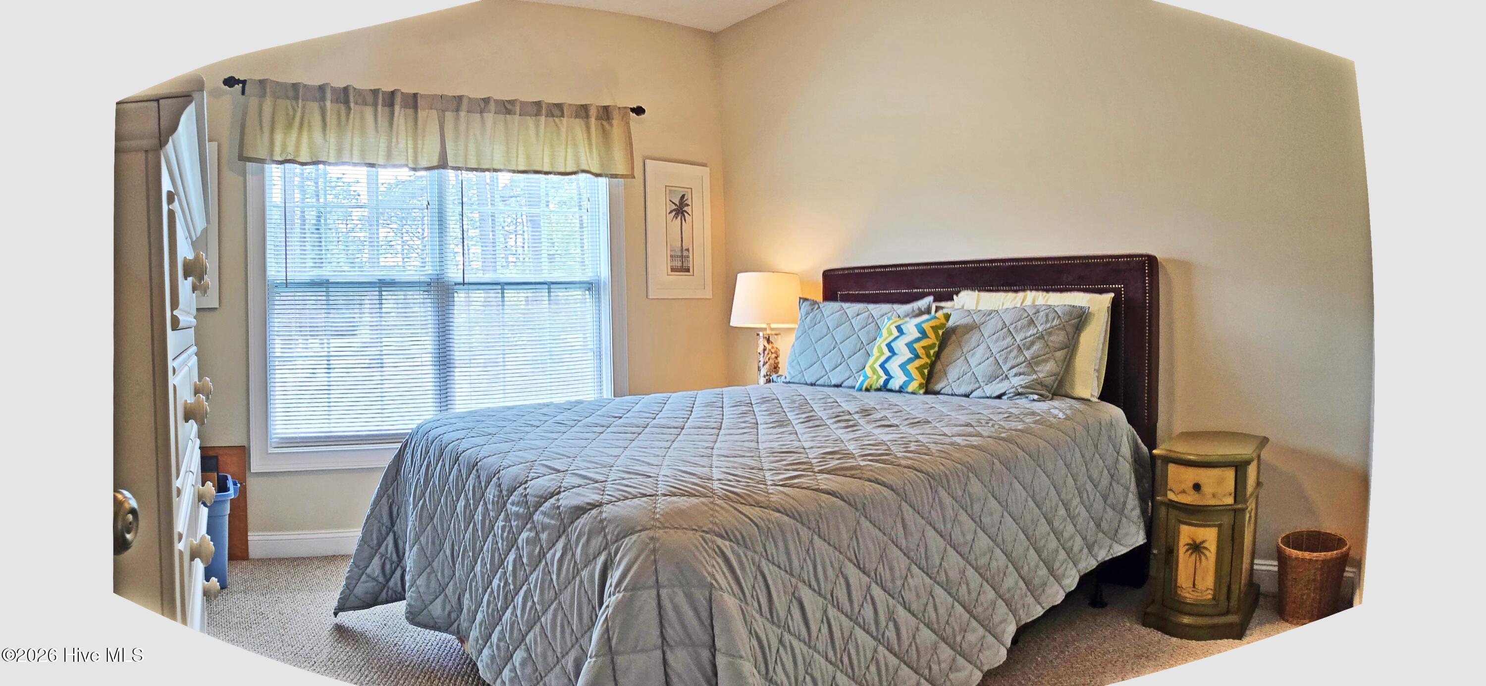 100565101 | Photo 13