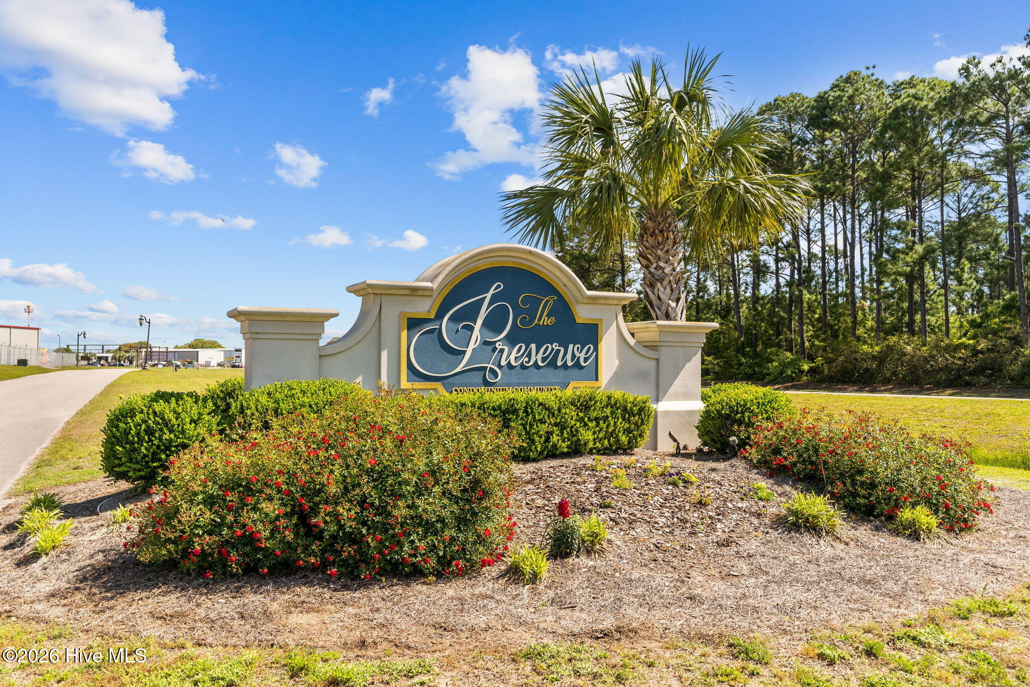 100558895 | Photo 104