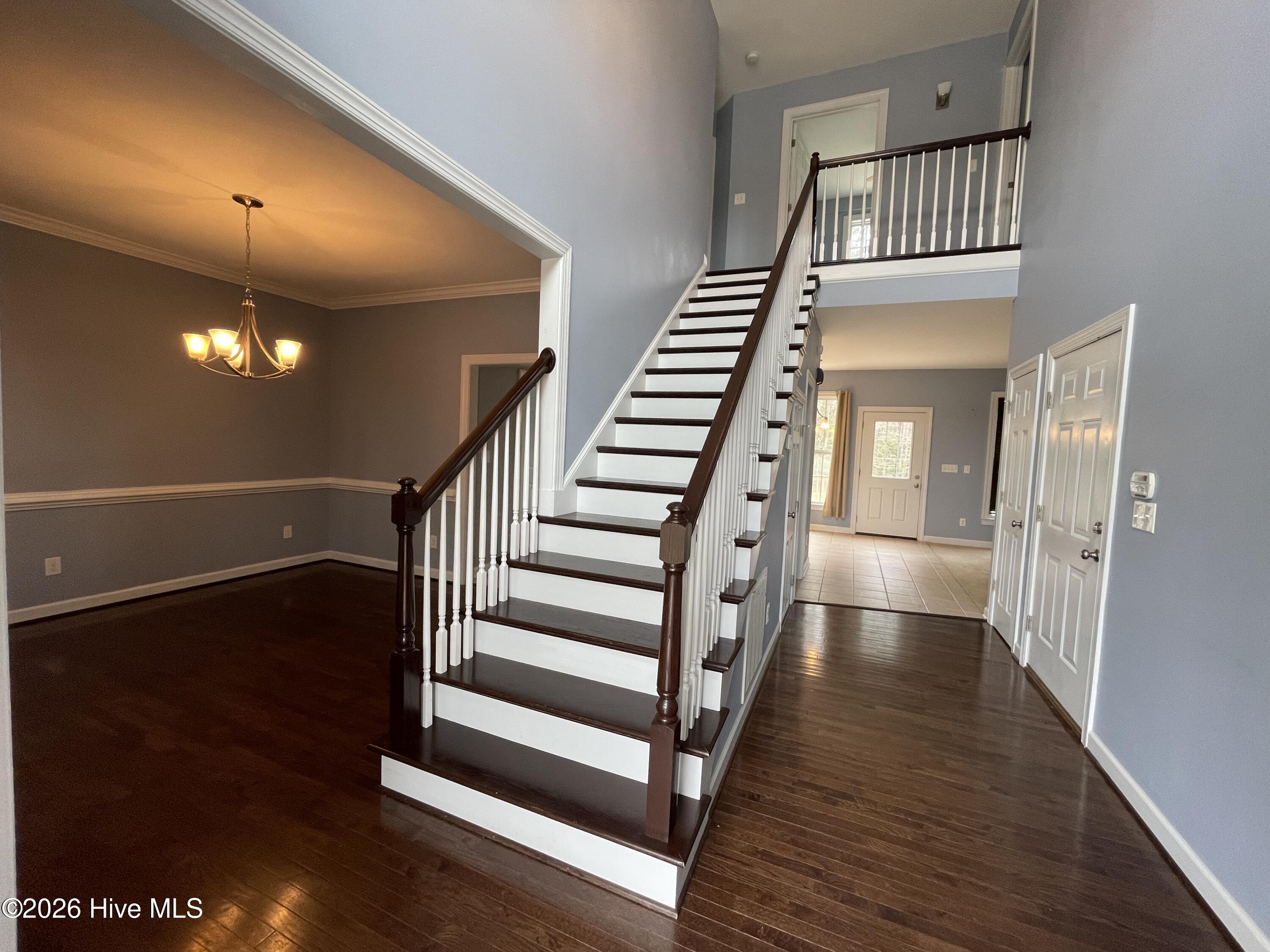204 Mia Court,Maysville