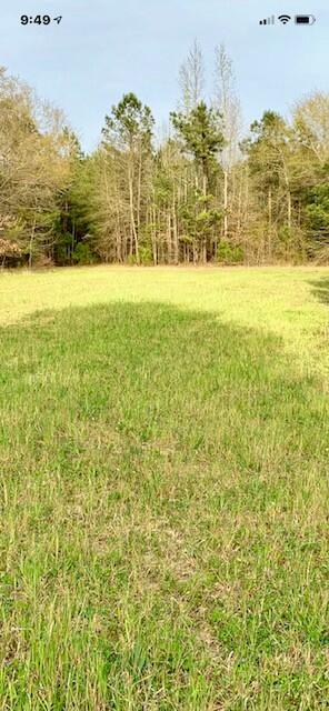 2405 HWY 88, Hephzibah, GA, 30815